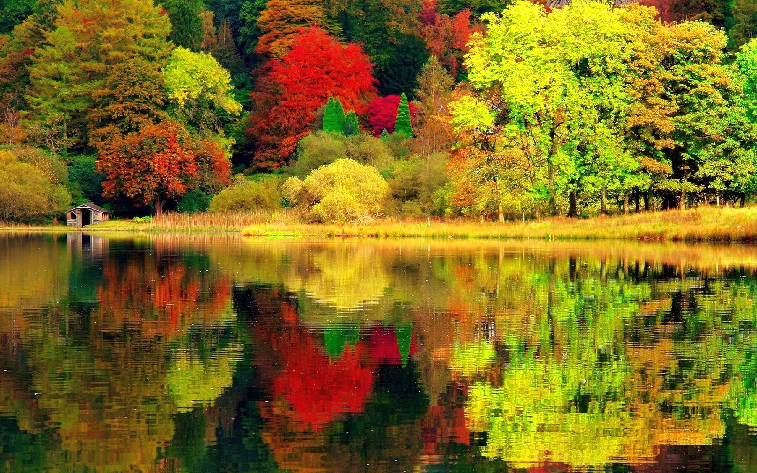 PCデスクトップに木, 秋, 湖, 反射, 写真撮影画像を無料でダウンロード