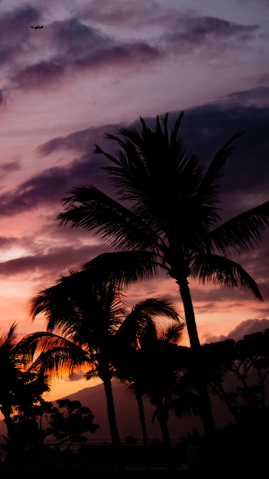 Download mobile wallpaper Sunset, Sky, Sunrise, Earth, Tropical, Cloud, Palm Tree for free.