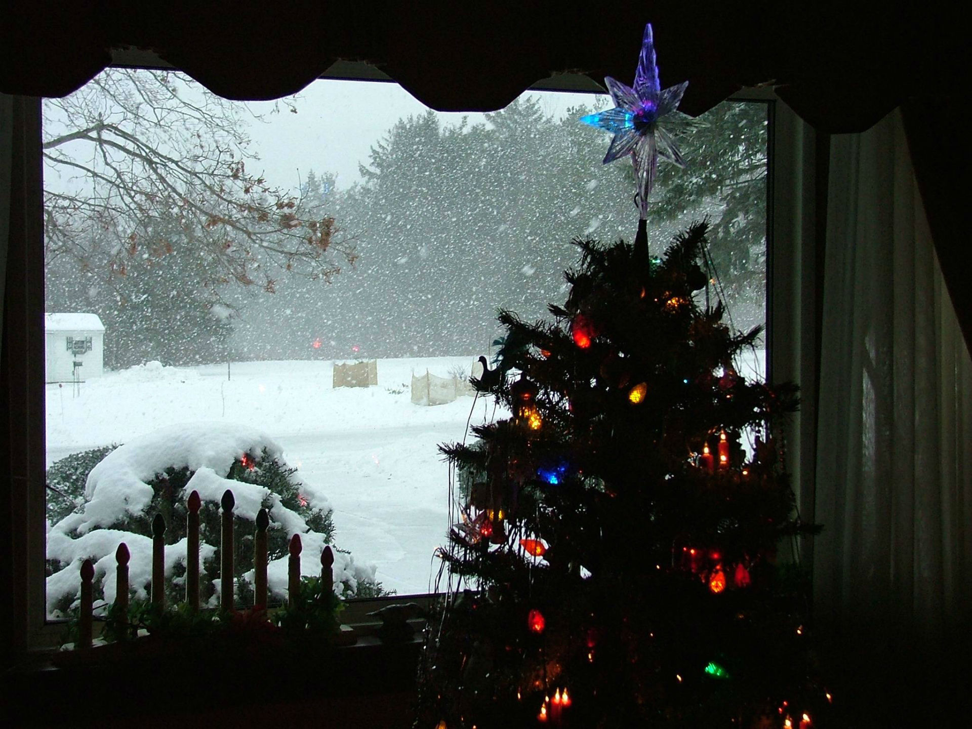 Laden Sie das Feiertage, Winter, Schnee, Weihnachten, Weihnachtsbaum-Bild kostenlos auf Ihren PC-Desktop herunter