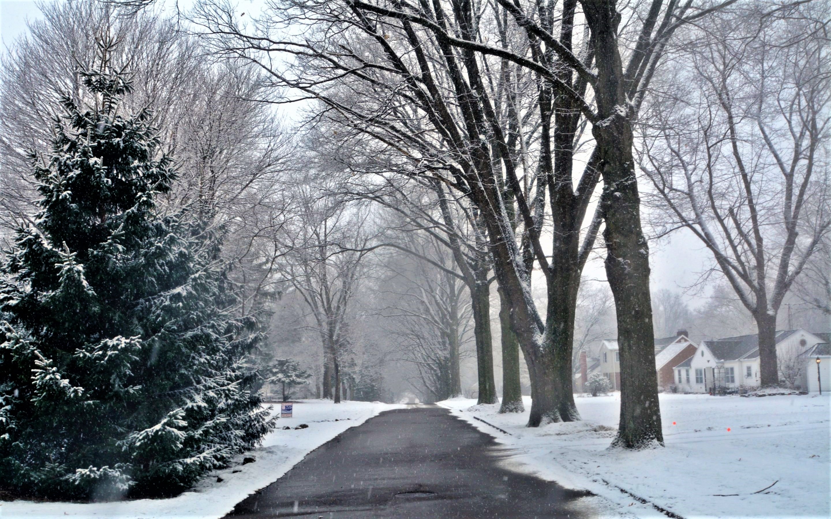 Baixar papel de parede para celular de Inverno, Neve, Árvore, Casa, Rua, Fotografia, Queda De Neve gratuito.