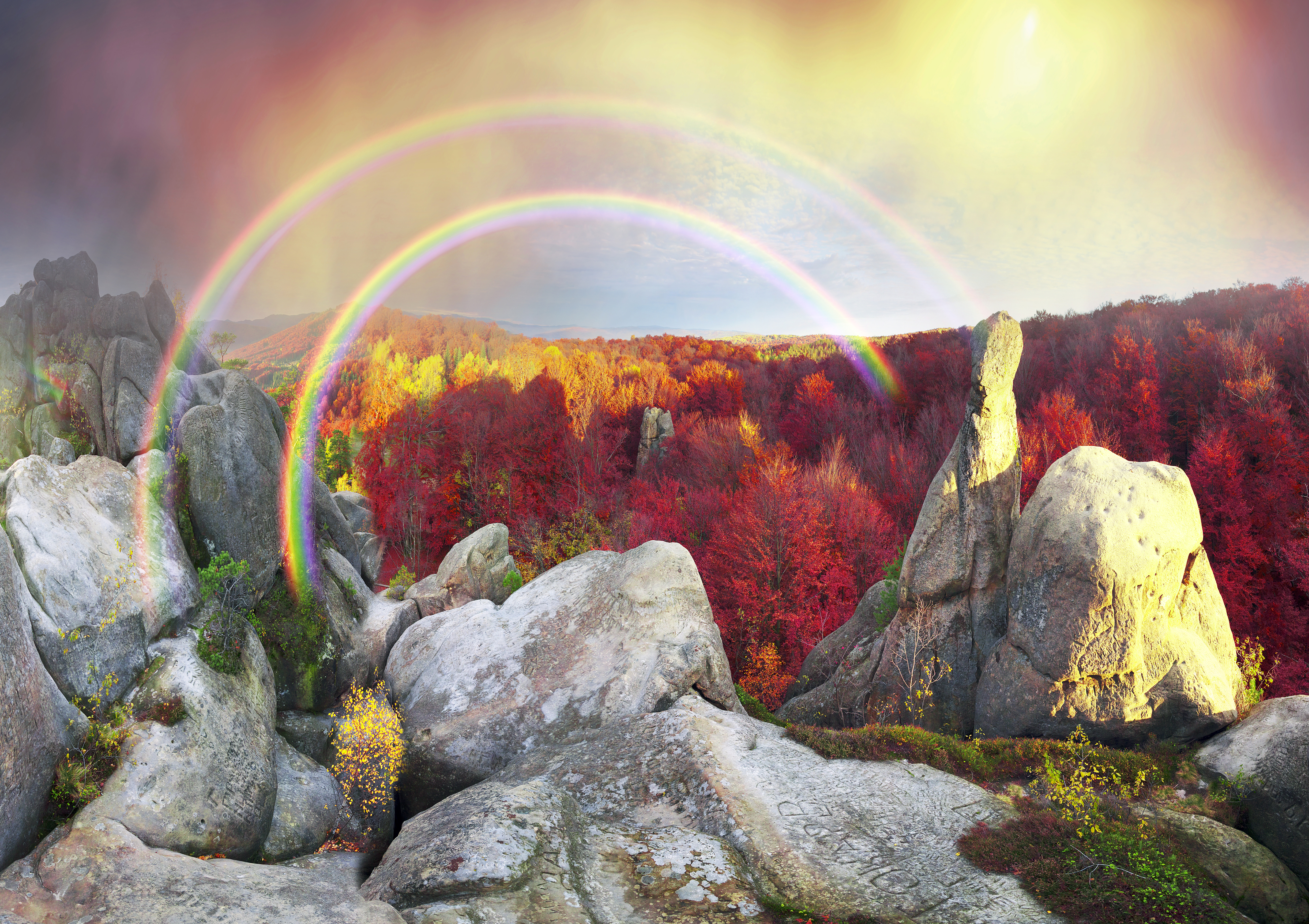 Скачать обои бесплатно Природа, Осень, Радуга, Лес, Земля/природа картинка на рабочий стол ПК