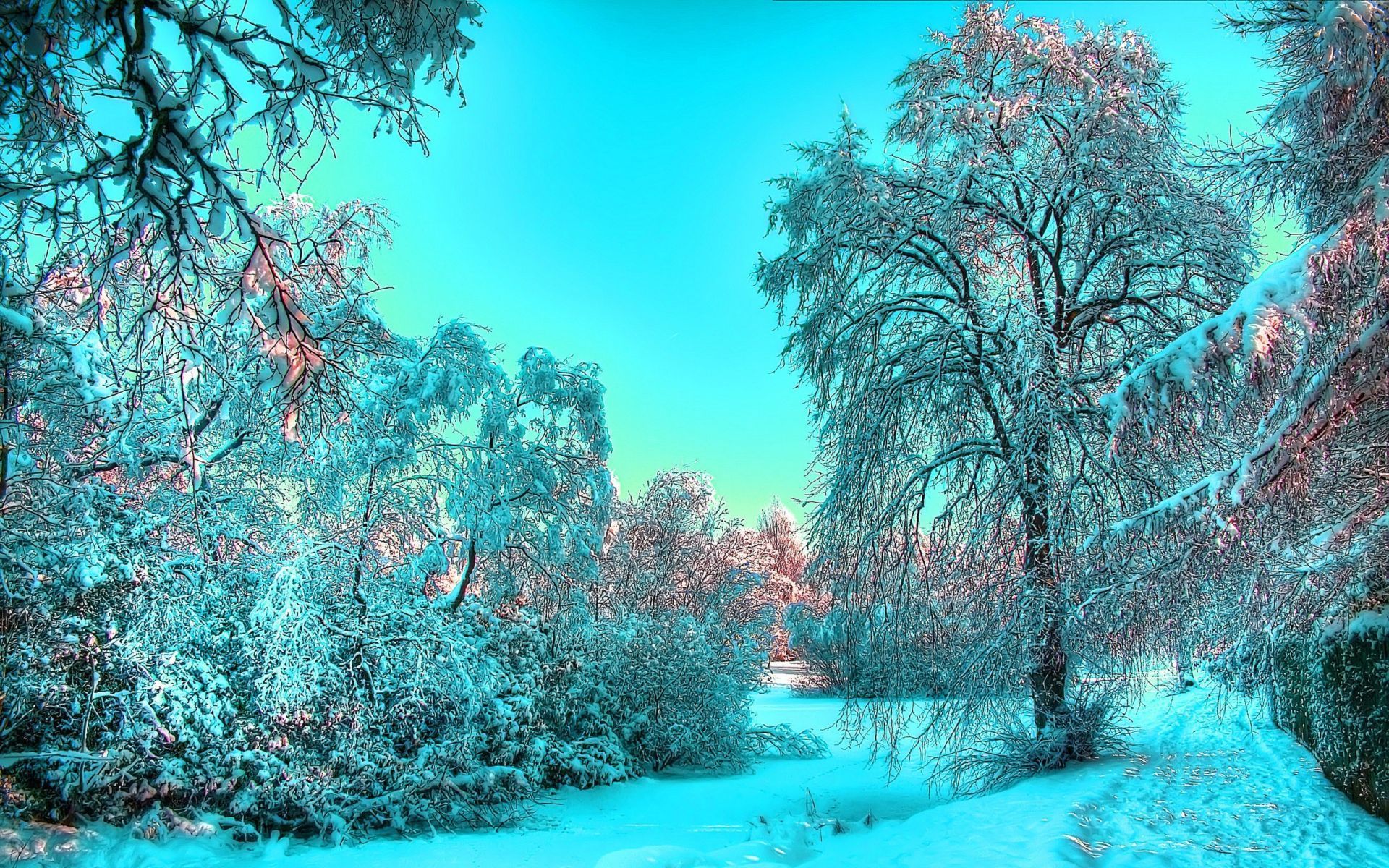 Скачать обои бесплатно Деревья, Пейзаж, Зима, Снег картинка на рабочий стол ПК