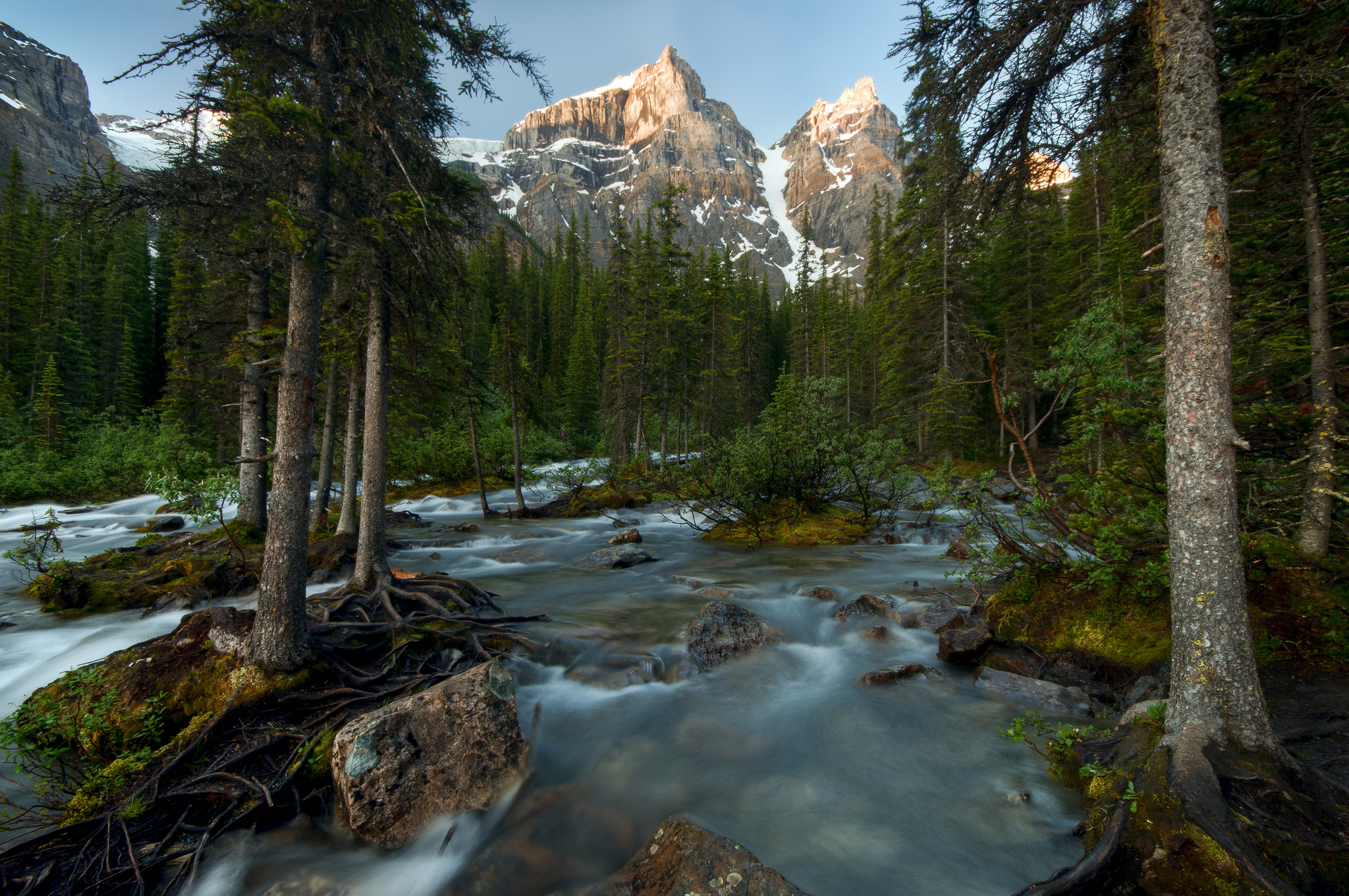 758357 Bild herunterladen erde/natur, strom, banff nationalpark, kanada, wald, gebirge - Hintergrundbilder und Bildschirmschoner kostenlos