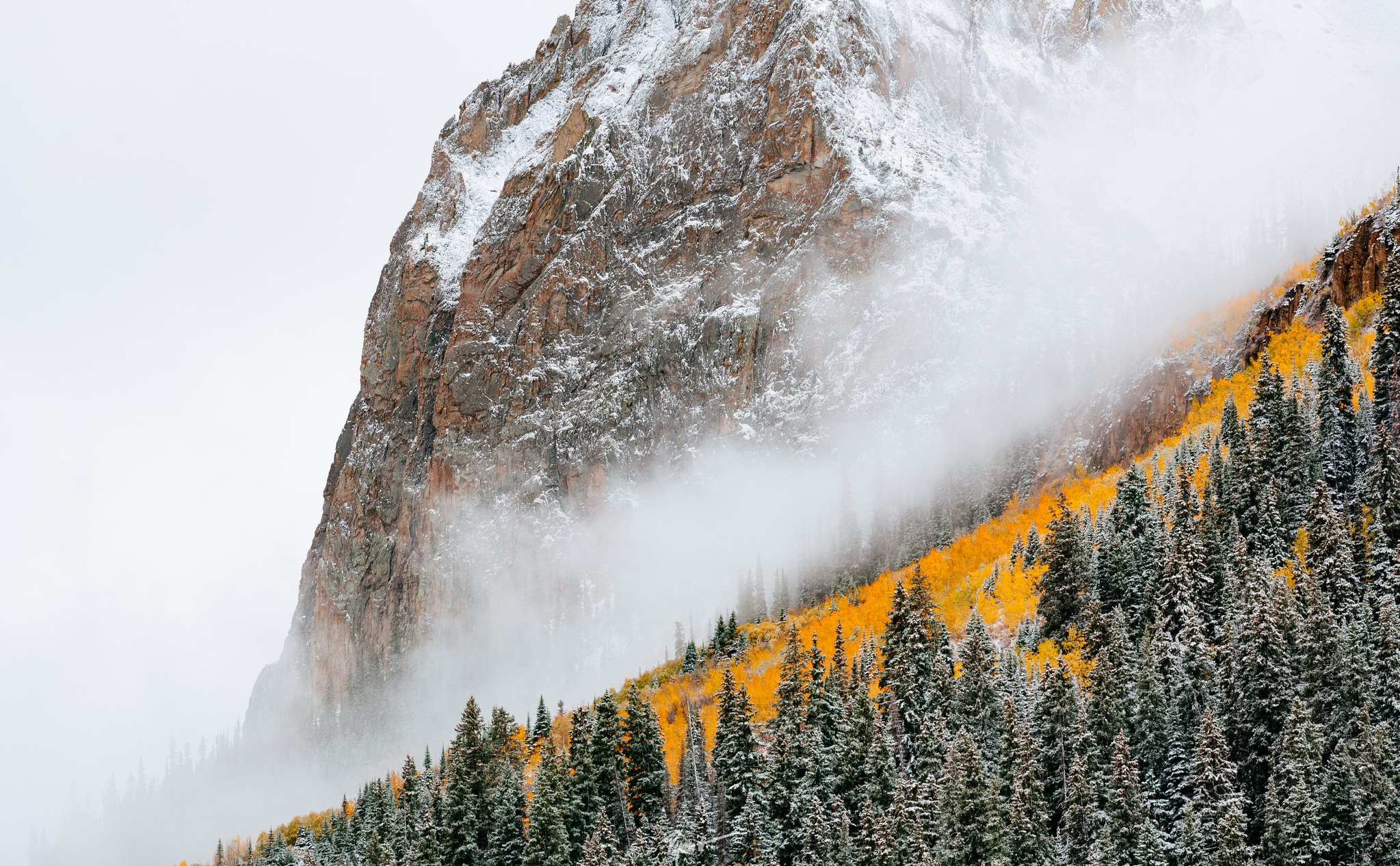 Laden Sie das Natur, Wald, Nebel, Klippe, Gebirge, Berge, Erde/natur-Bild kostenlos auf Ihren PC-Desktop herunter