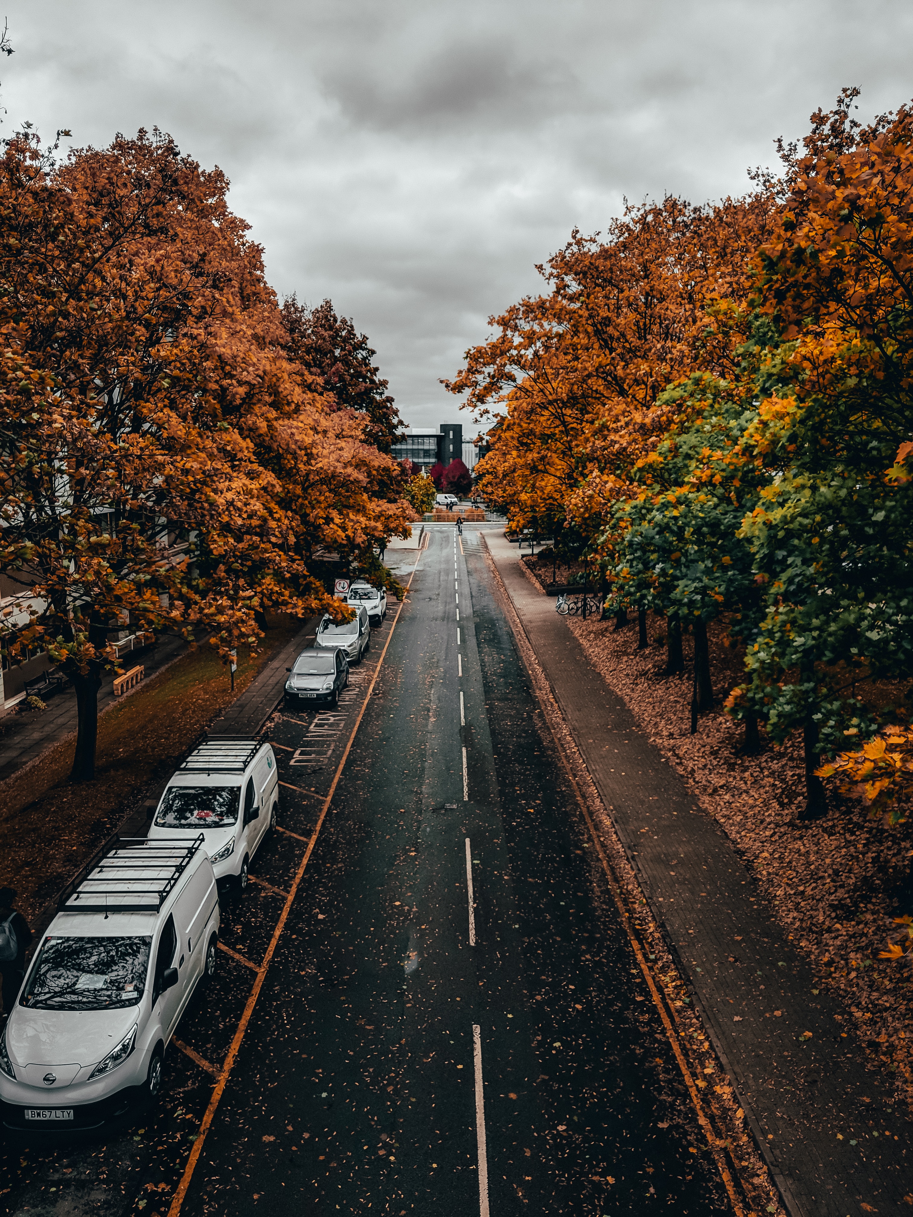 street, alley, autumn, cities, trees, road