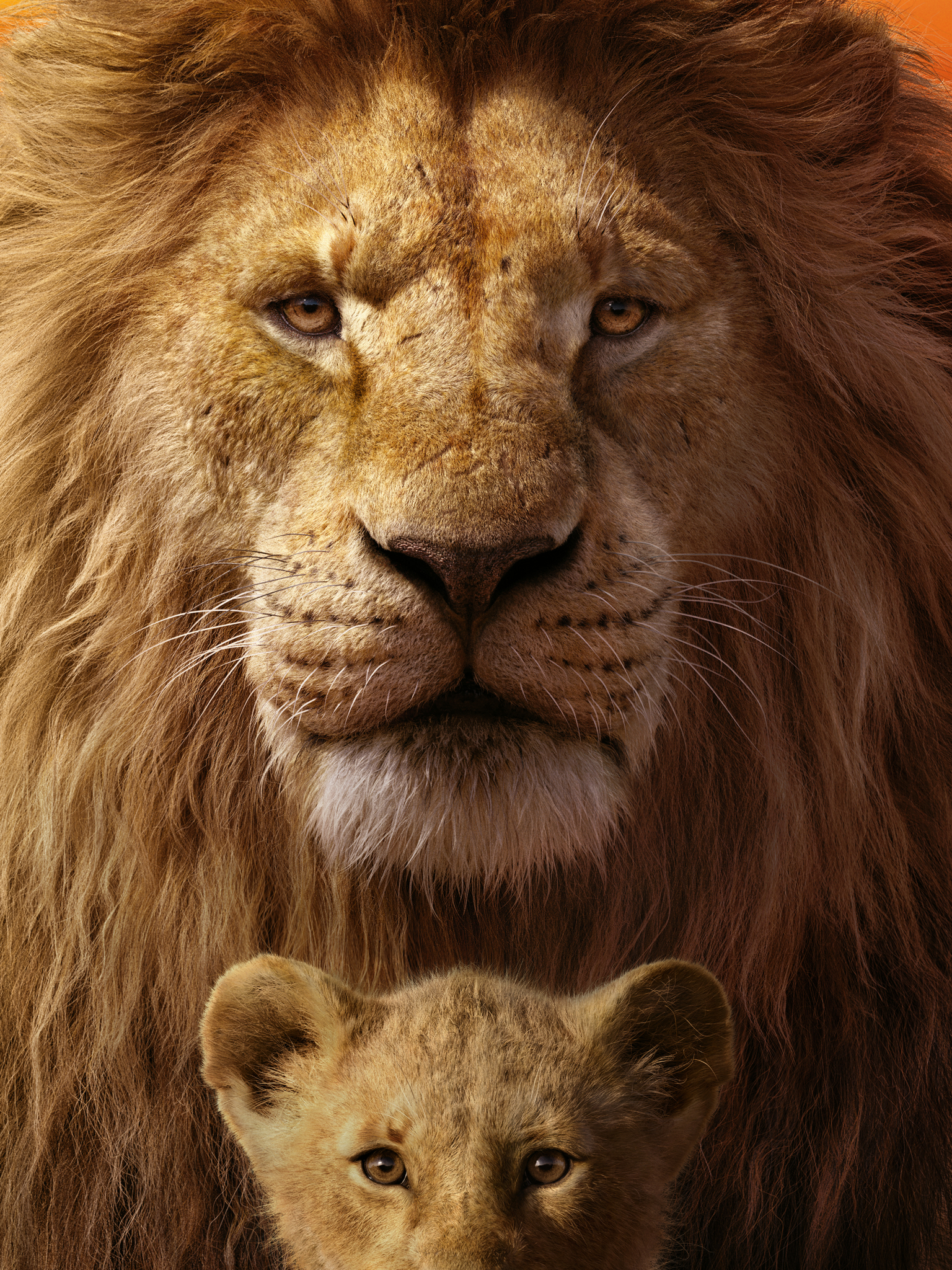 1343244 descargar fondo de pantalla películas, el rey león (2019), simba, mufasa (el rey león): protectores de pantalla e imágenes gratis