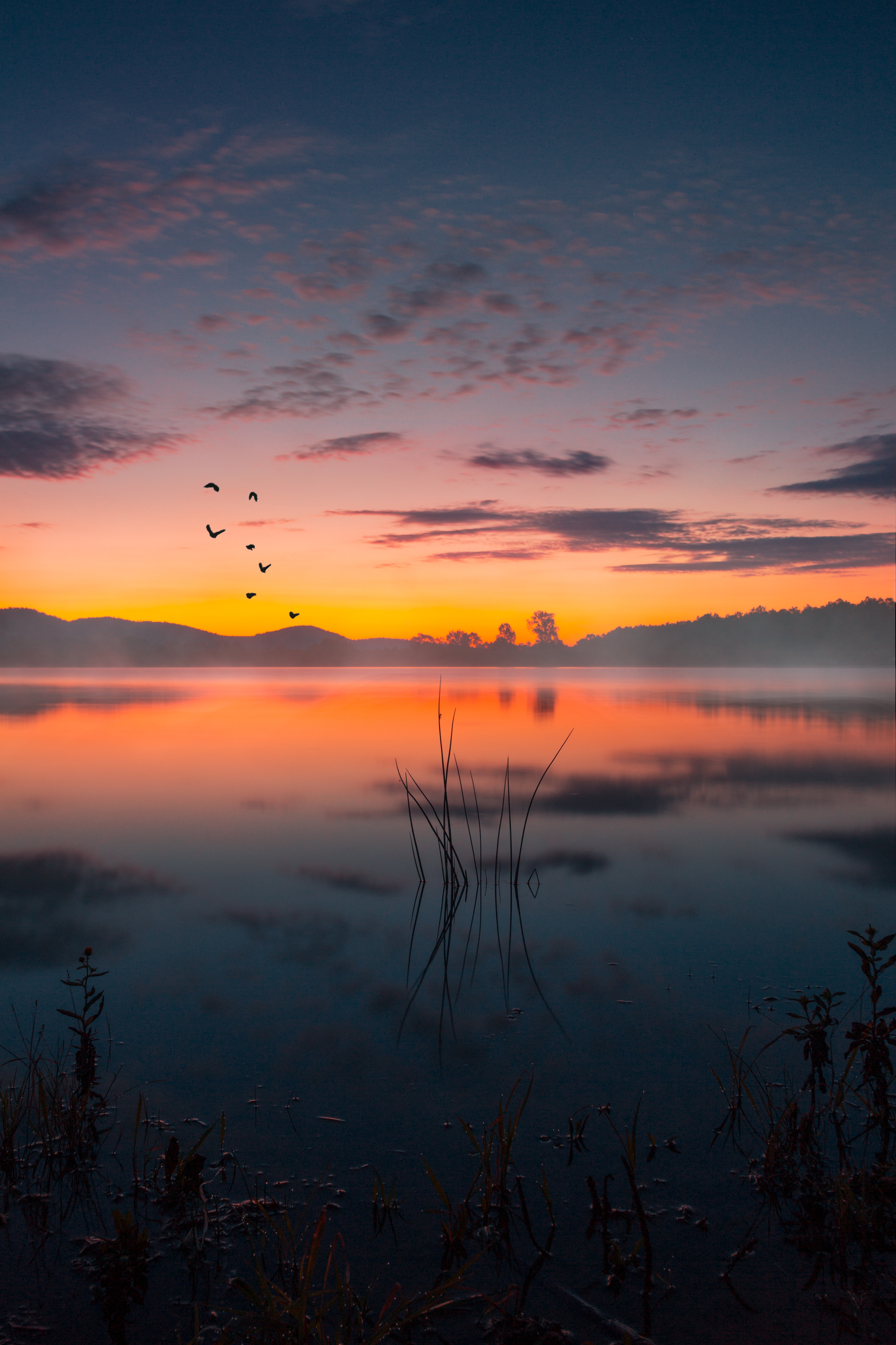 twilight, lake, landscape, nature, sunset, fog, dusk 4K