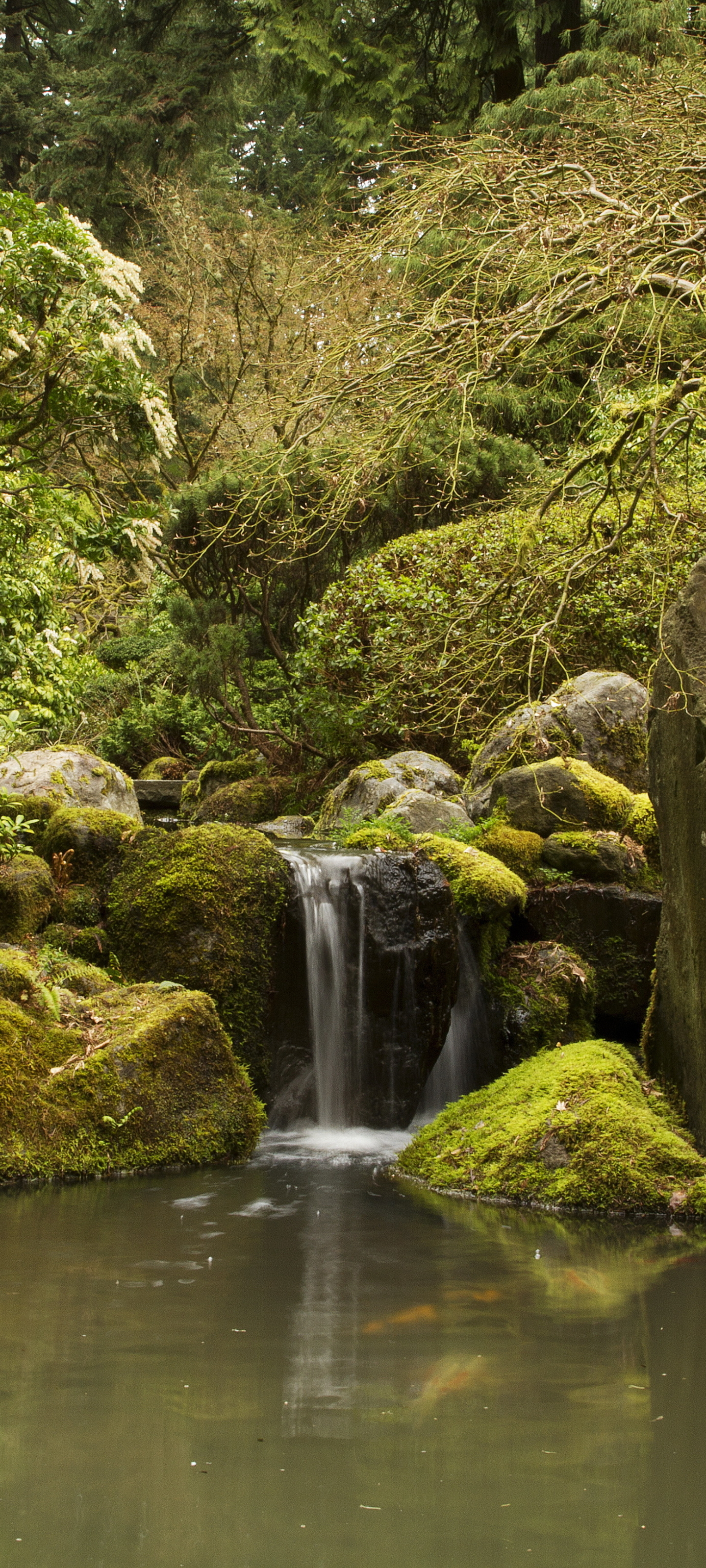 Скачать картинку Природа, Водопад, Пруд, Сделано Человеком, Японский Сад в телефон бесплатно.