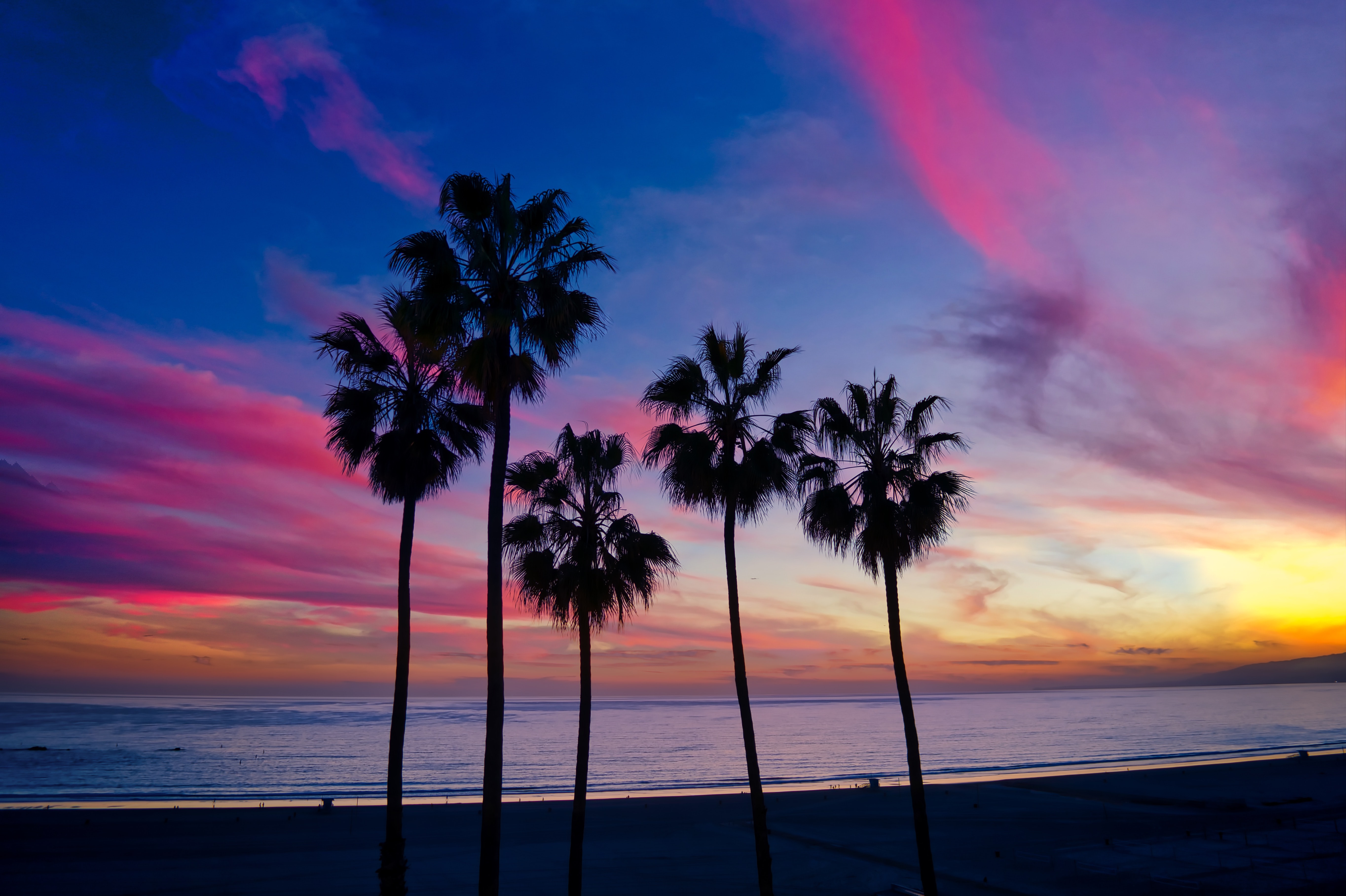 Download mobile wallpaper Horizon, Nature, Sunset, Palms, Silhouette for free.