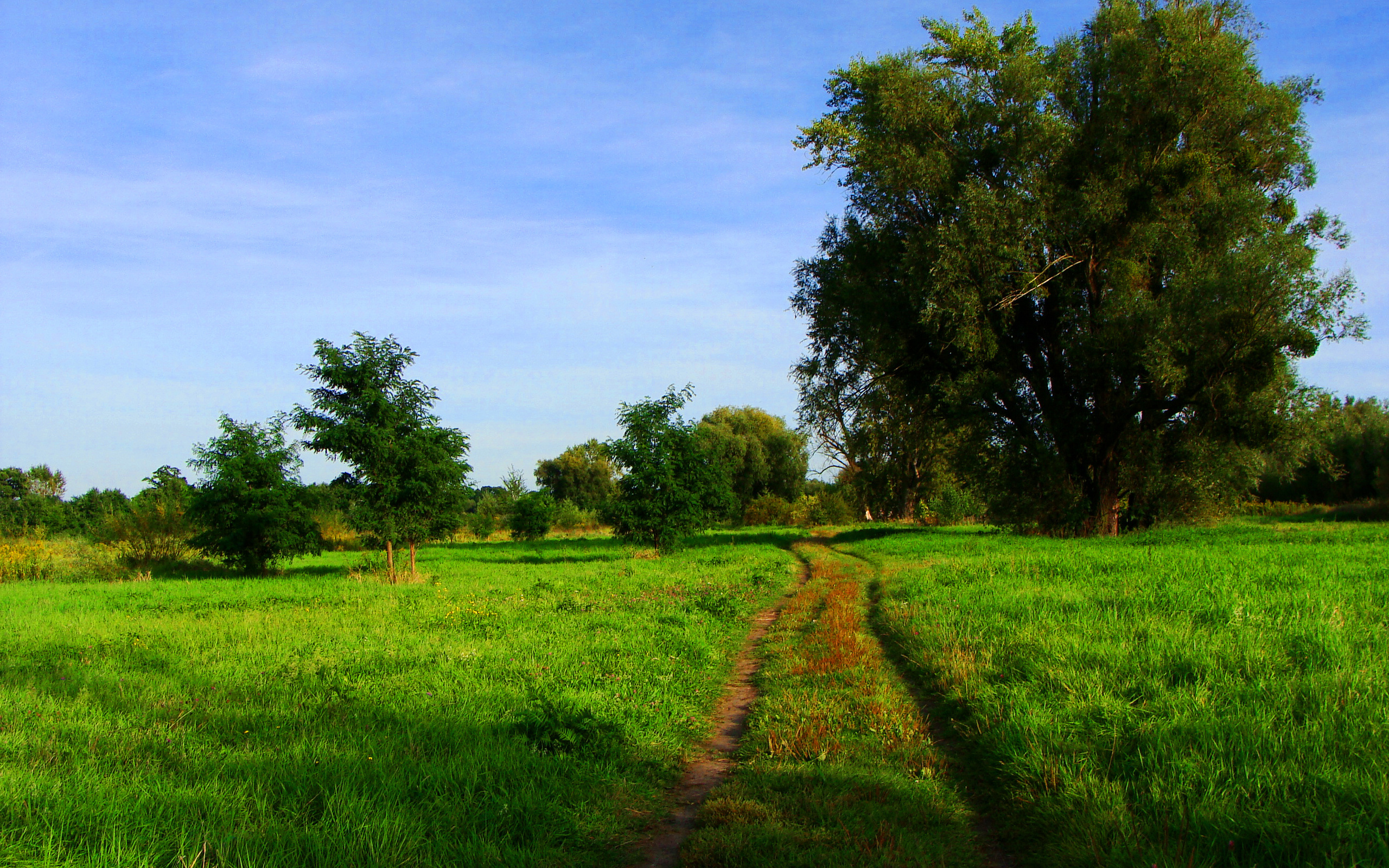Free download wallpaper Nature, Tree, Earth, Field, Path on your PC desktop