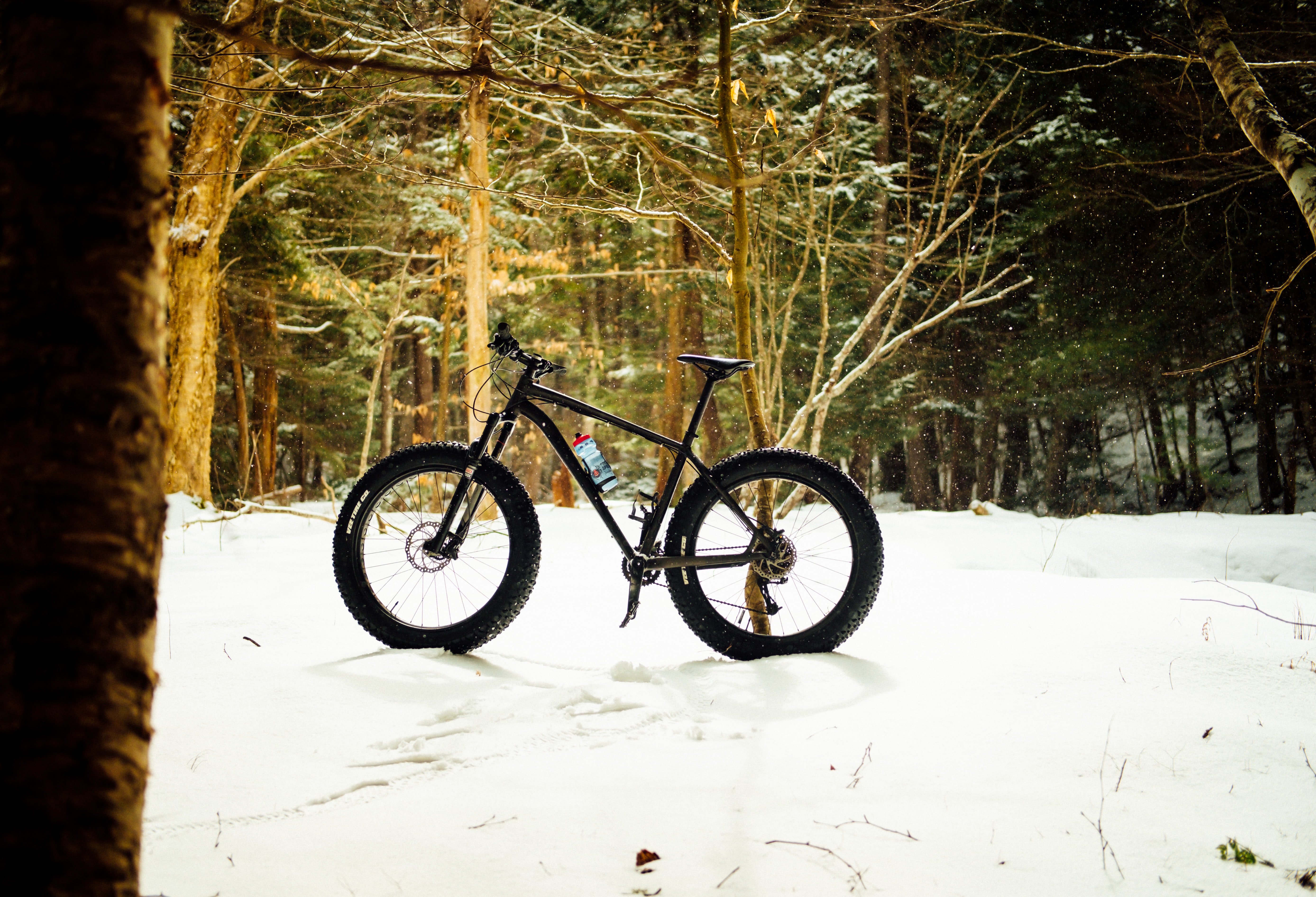 Download mobile wallpaper Snow, Forest, Bicycle, Sports for free.