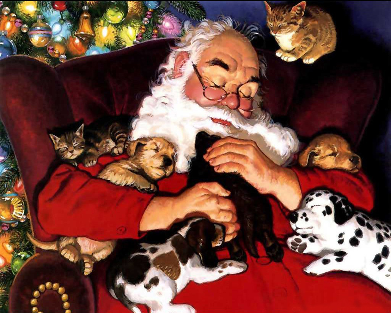 1443203 Hintergrundbild herunterladen weihnachten, weihnachtsmann, feiertage, katze, hund, kätzchen, welpe - Bildschirmschoner und Bilder kostenlos