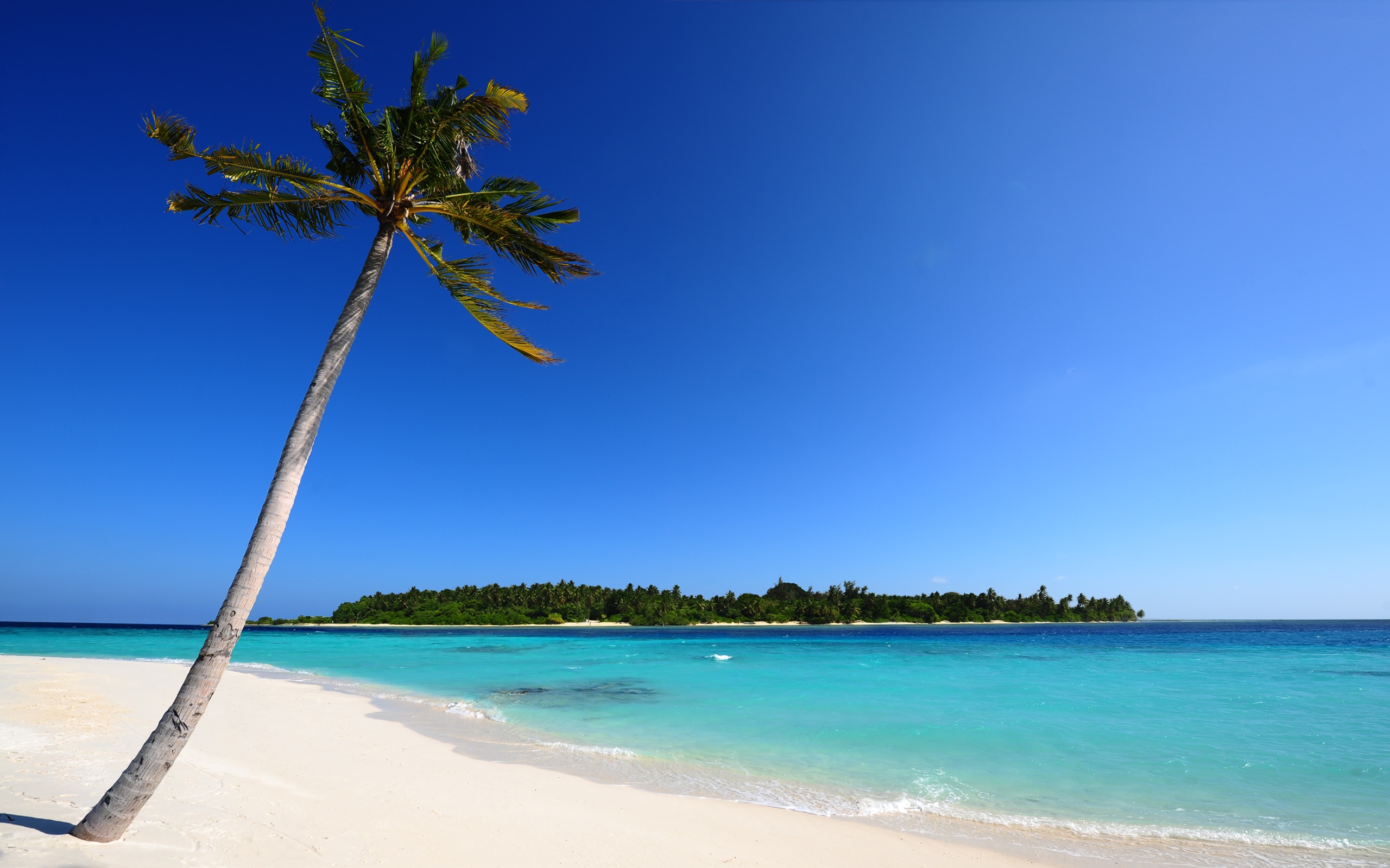 165312 завантажити шпалери небо, земля, пляжний, синій, острів, мальдіви, океан, пальма, пісок, тропічний - заставки і картинки безкоштовно
