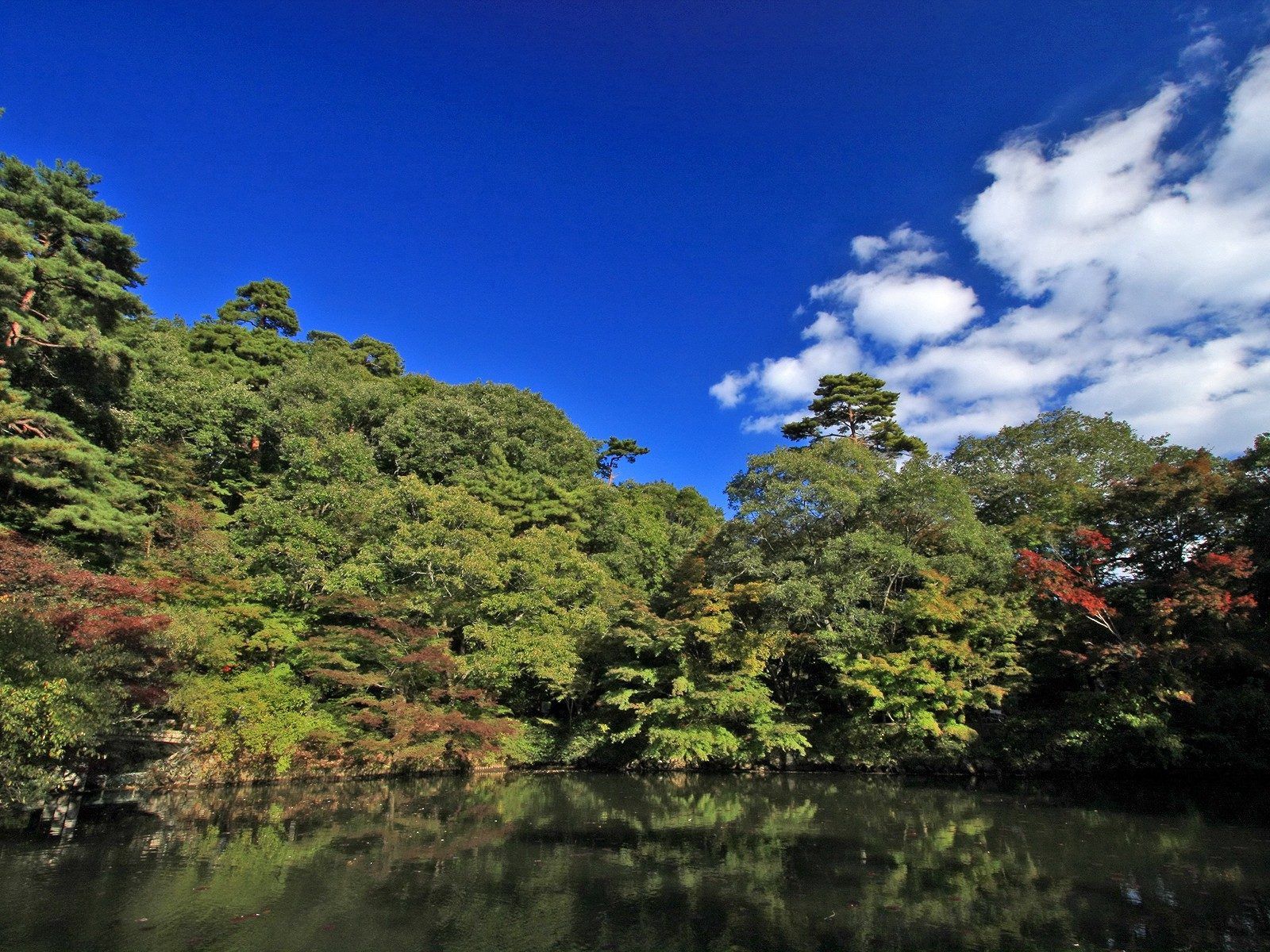 Laden Sie das Natur, Bäume, Sky, Flüsse-Bild kostenlos auf Ihren PC-Desktop herunter