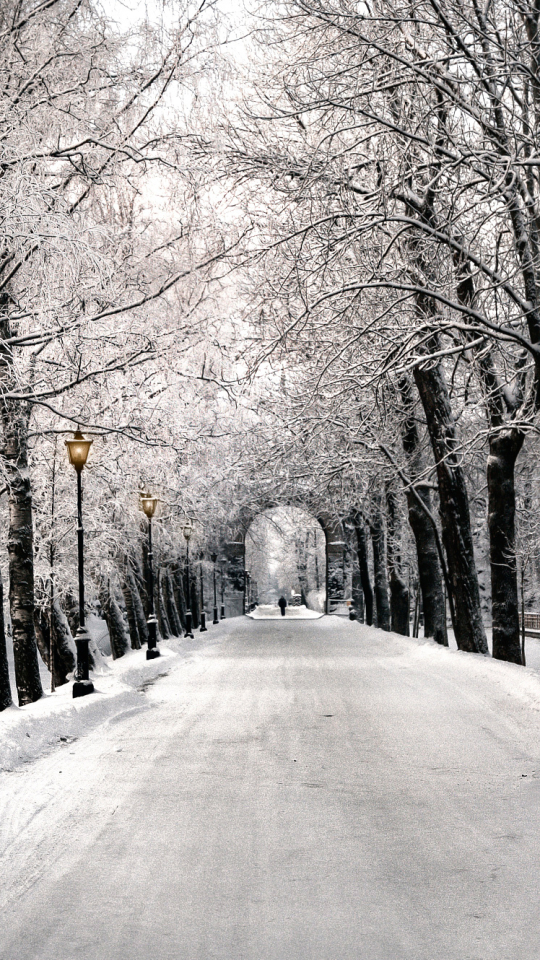 Download mobile wallpaper Winter, Snow, Park, Path, Photography, Tree Lined for free.
