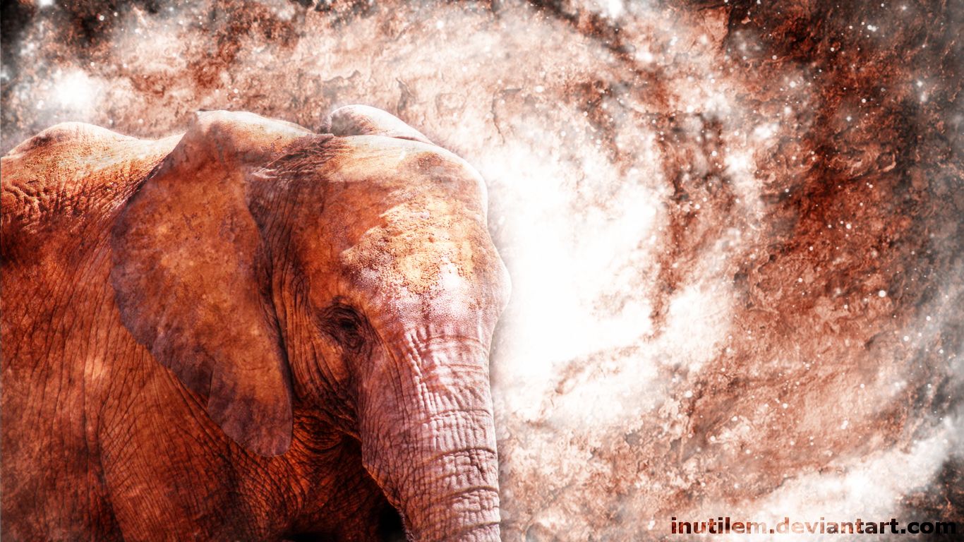 349532 baixar papel de parede animais, elefante da savana, elefante africano, elefantes - protetores de tela e imagens gratuitamente