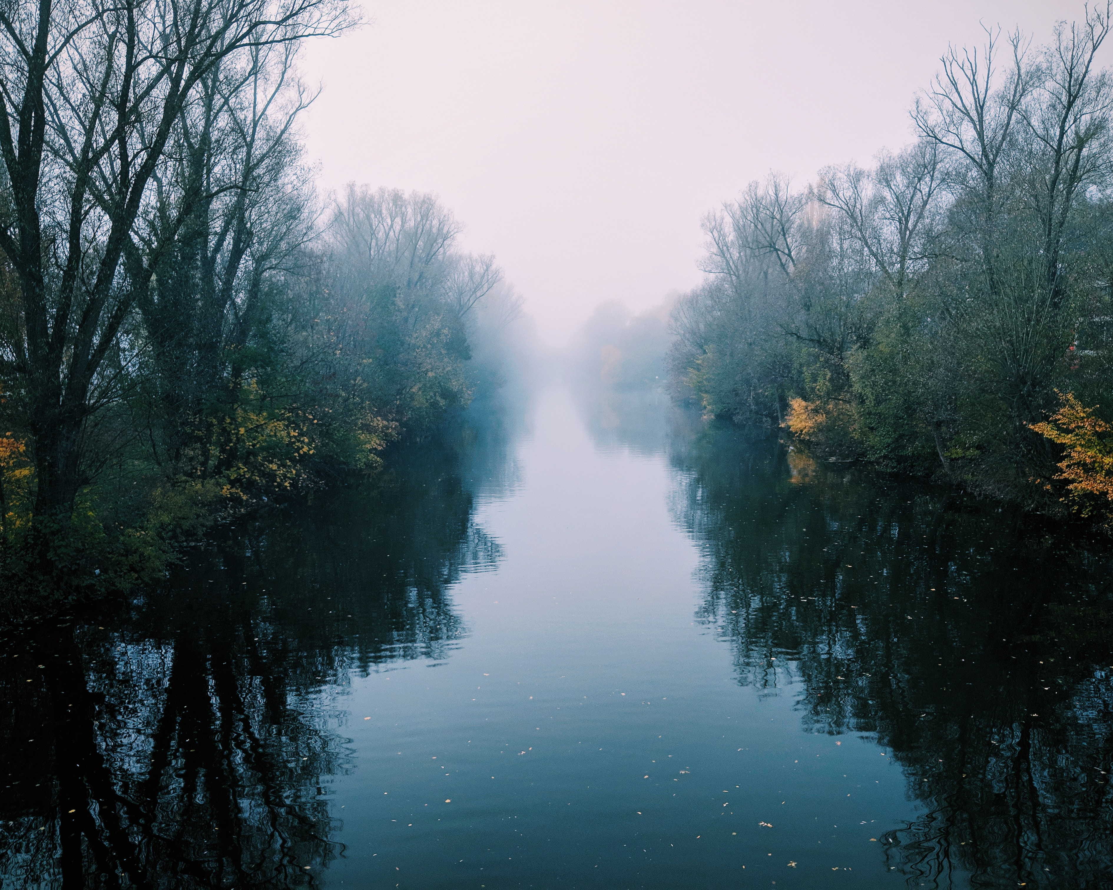 Download mobile wallpaper Reflection, Bush, Trees, Fog, Nature, Rivers for free.