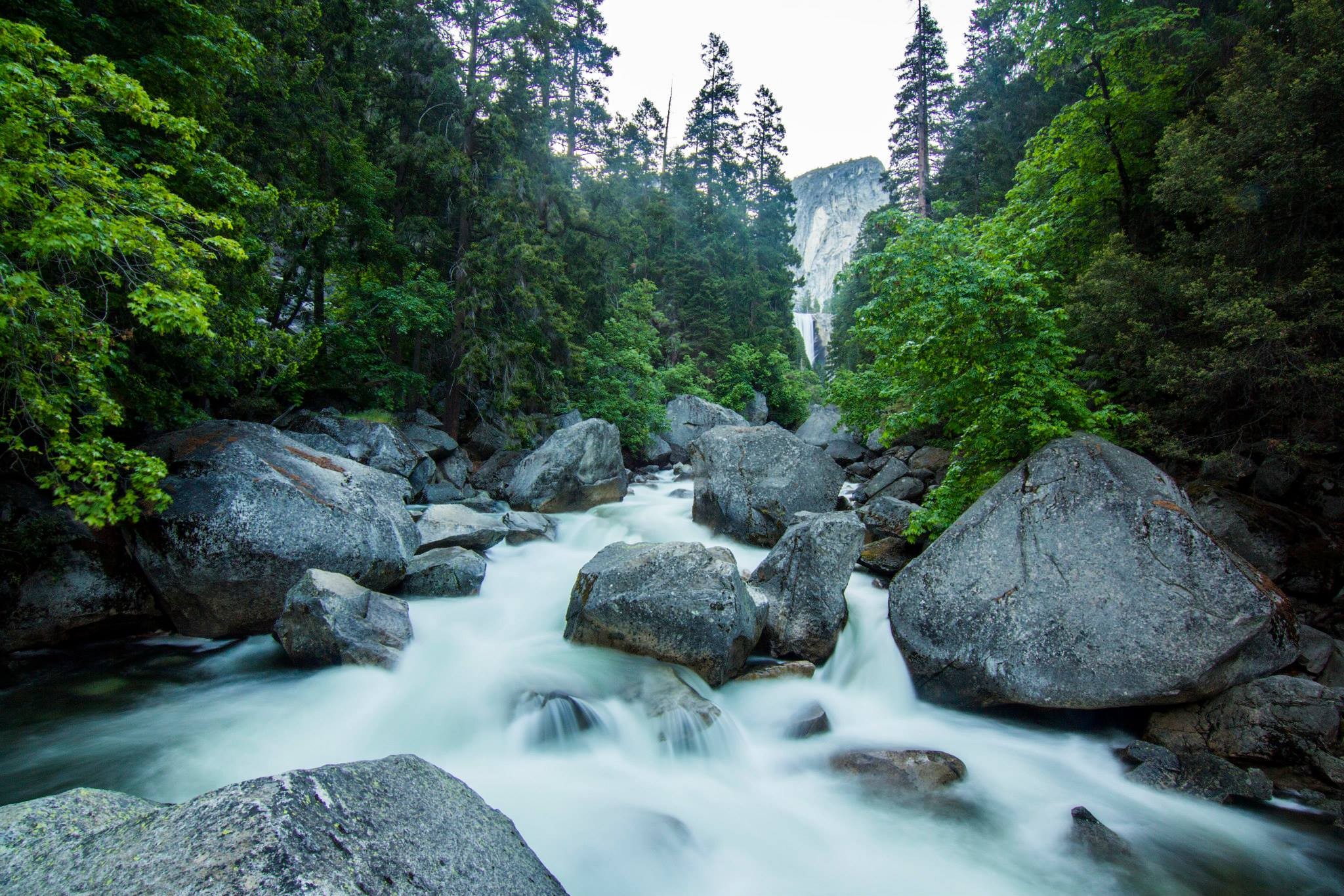 Скачать картинку Лес, Дерево, Ручей, Йосемитский Национальный Парк, Земля/природа в телефон бесплатно.