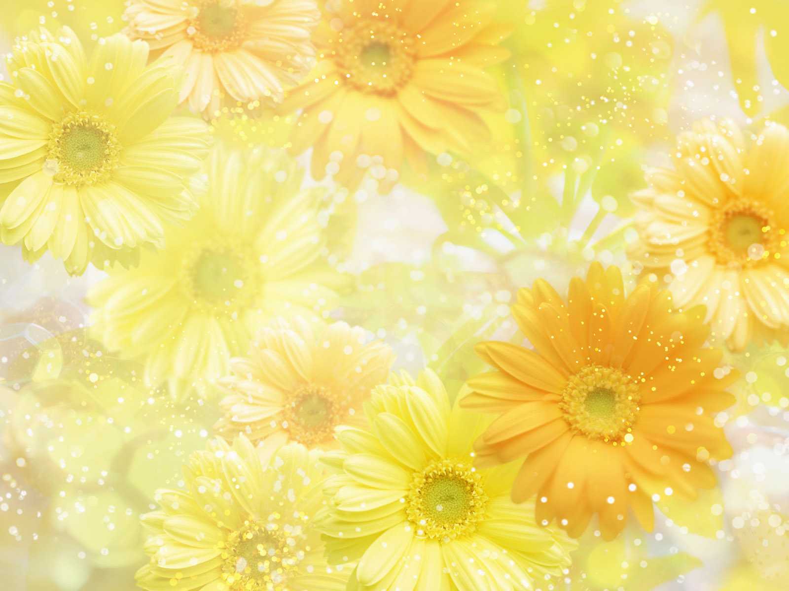 Descarga gratis la imagen Flores, Flor, Artístico en el escritorio de tu PC