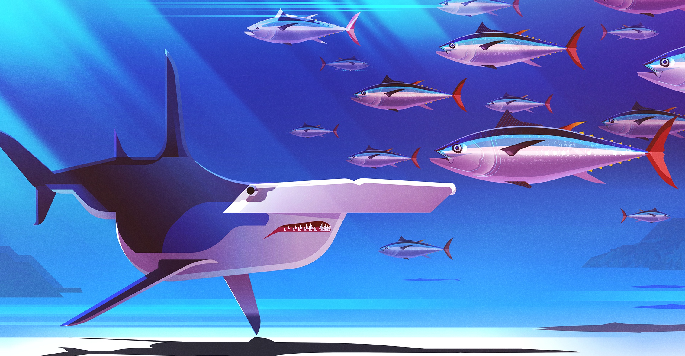 474191 télécharger le fond d'écran animaux, requin, poisson, requin marteau, vie marine, thon, sous l'eau, les requins - économiseurs d'écran et images gratuitement