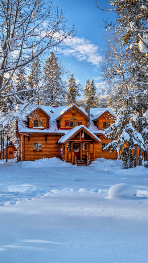 無料モバイル壁紙冬, 家, 木, 雪, カナダ, 写真撮影, キャビン, 分野をダウンロードします。