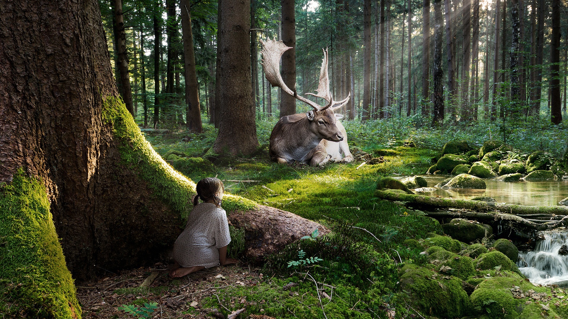 Free download wallpaper Fantasy, Forest, Tree, Artistic, Moose, Little Girl, Sunshine on your PC desktop