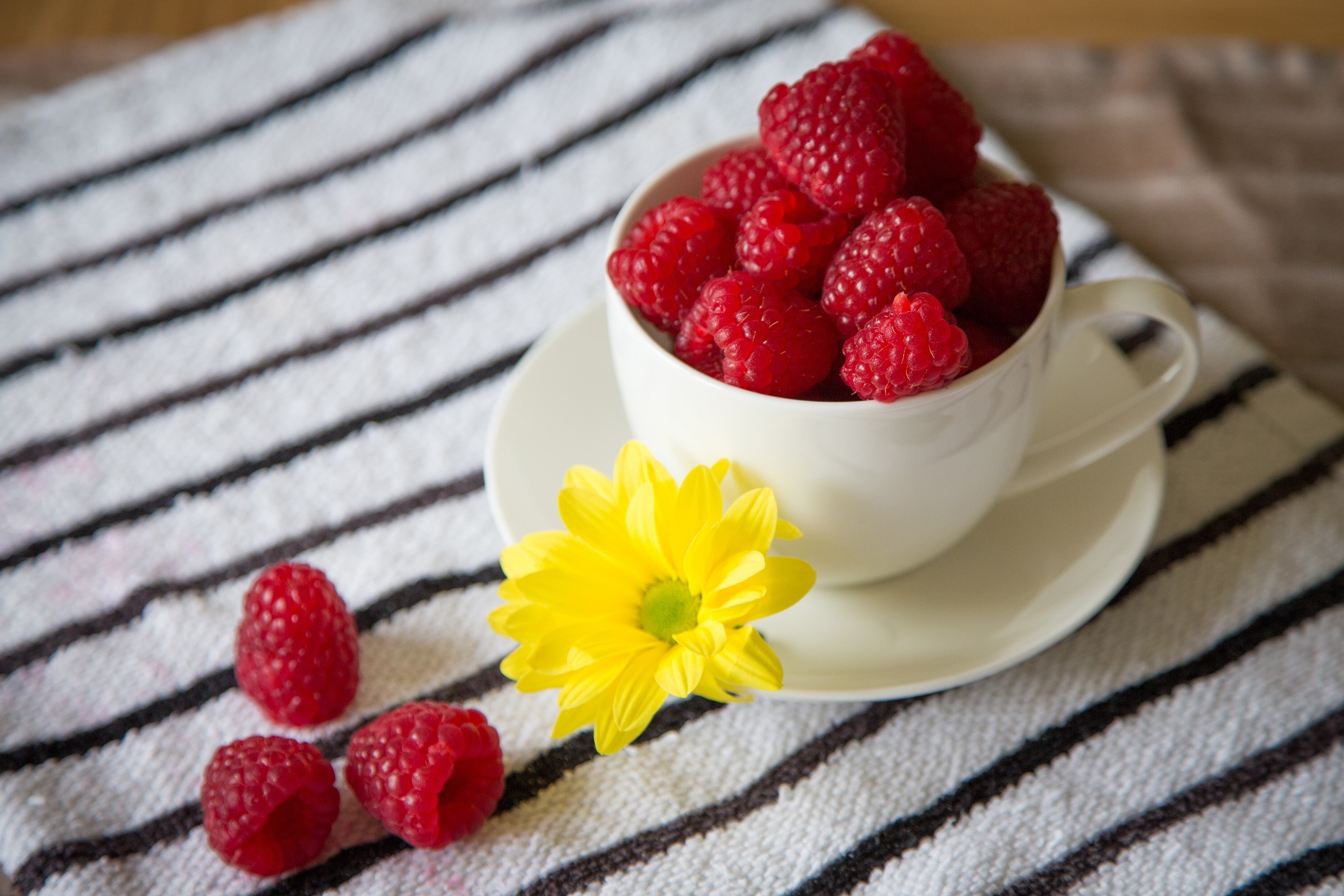 Laden Sie das Lebensmittel, Himbeere, Berries, Pflanzen-Bild kostenlos auf Ihren PC-Desktop herunter