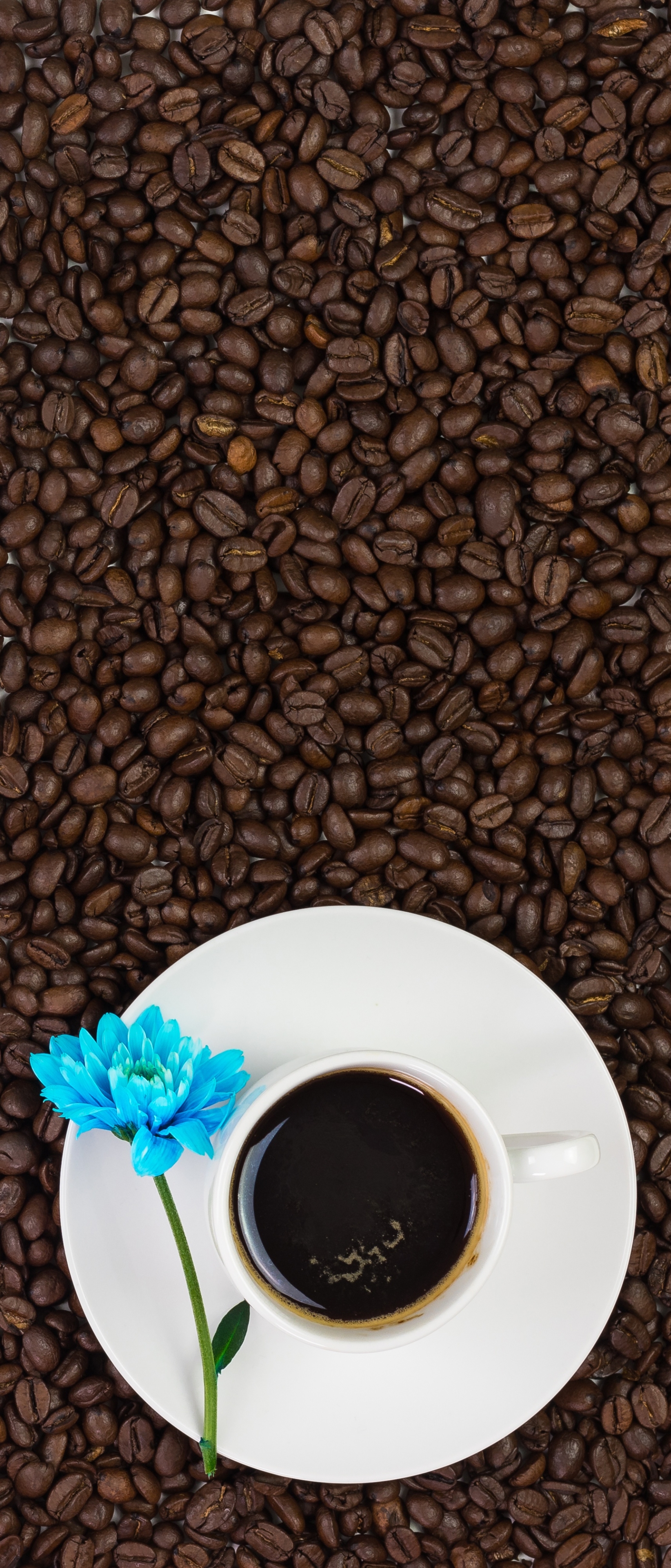 Handy-Wallpaper Tasse, Kaffeebohnen, Nahrungsmittel, Getränk, Kaffee kostenlos herunterladen.