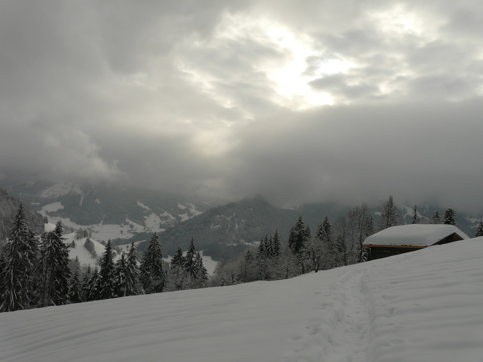 Handy-Wallpaper Winter, Fotografie kostenlos herunterladen.