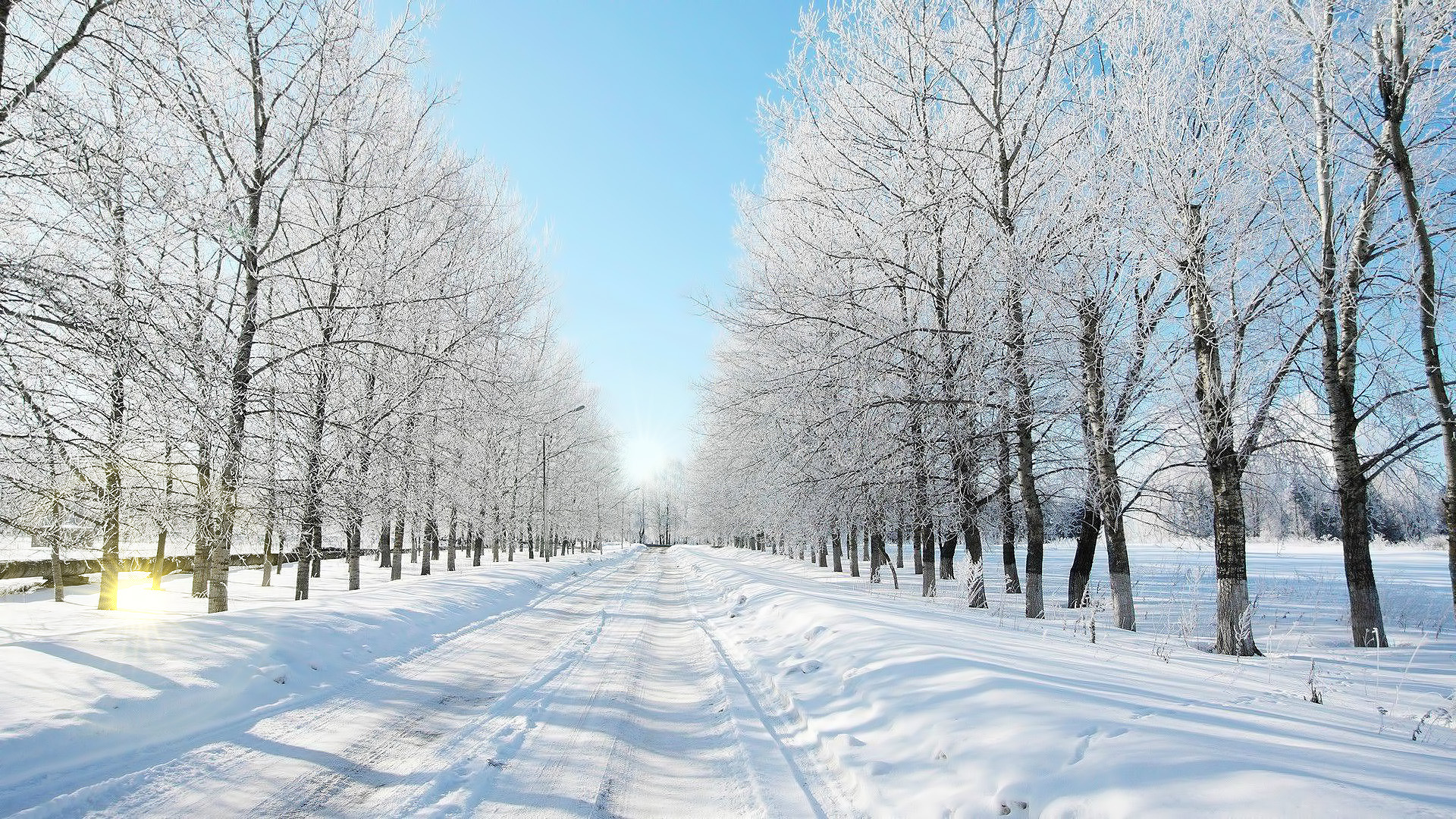roads, landscape, winter, gray Panoramic Wallpaper
