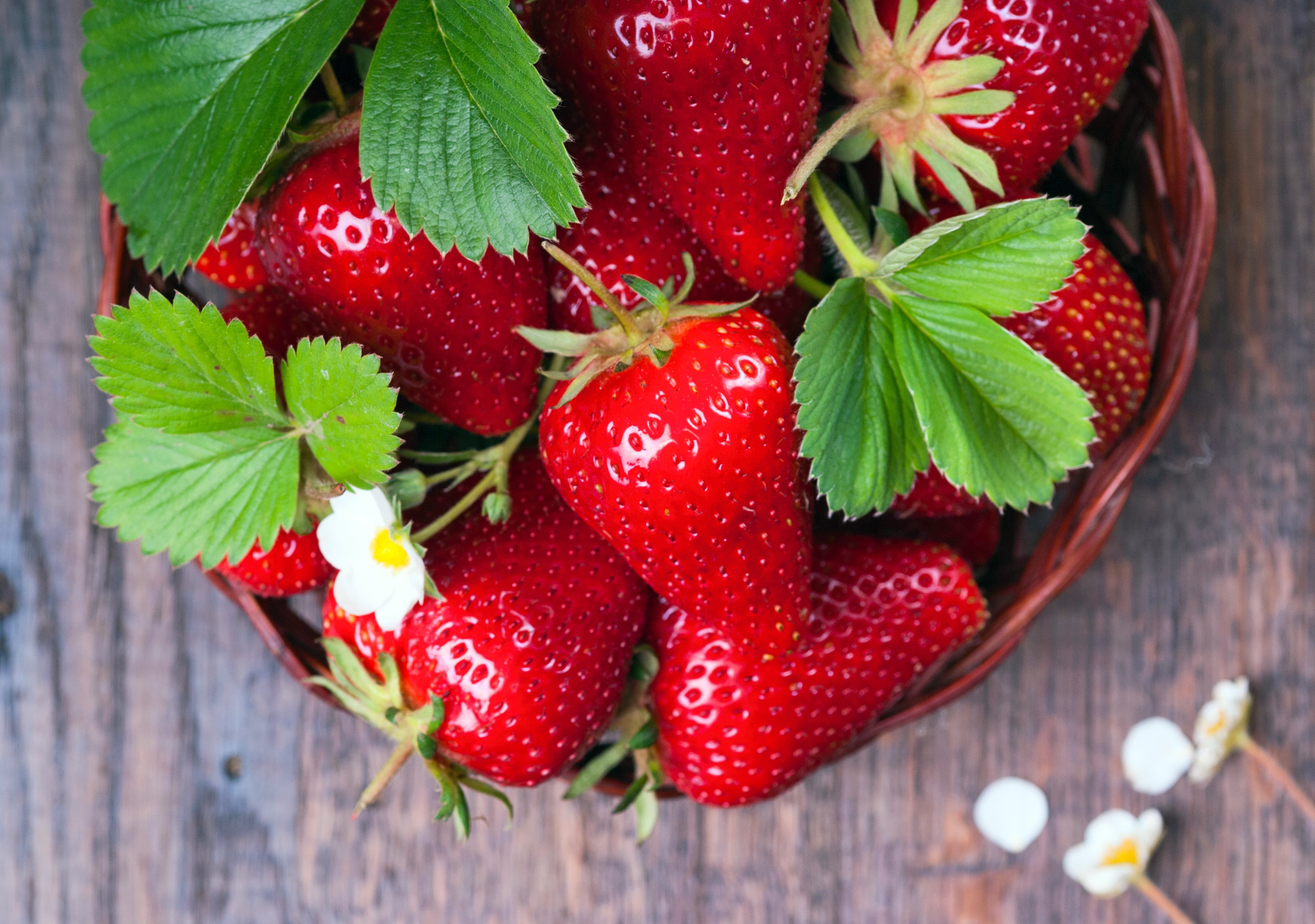 Descarga gratuita de fondo de pantalla para móvil de Frutas, Fresa, Baya, Fruta, Alimento.