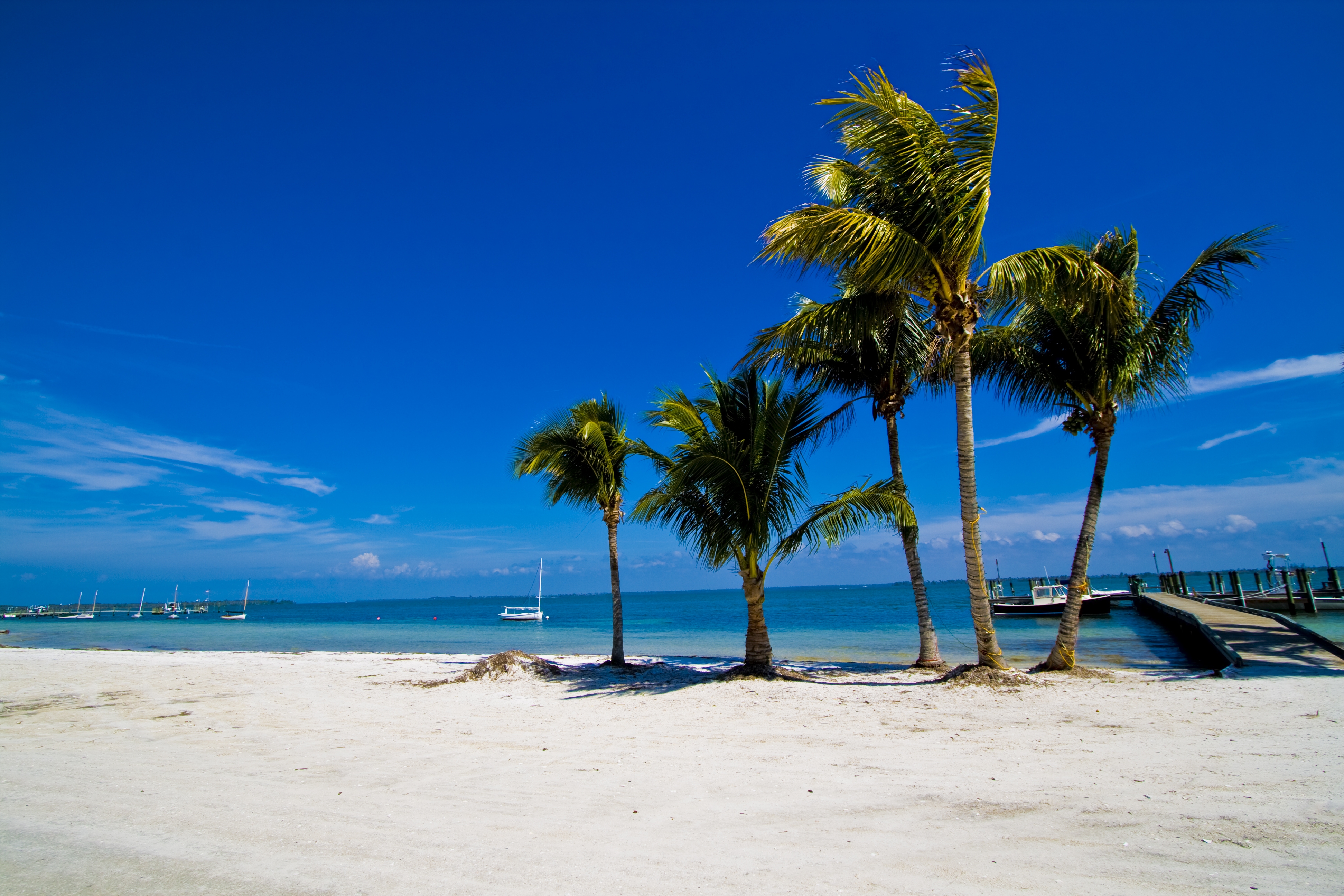Laden Sie das Natur, Sand, Bank, Ufer, Palms, Sommer-Bild kostenlos auf Ihren PC-Desktop herunter