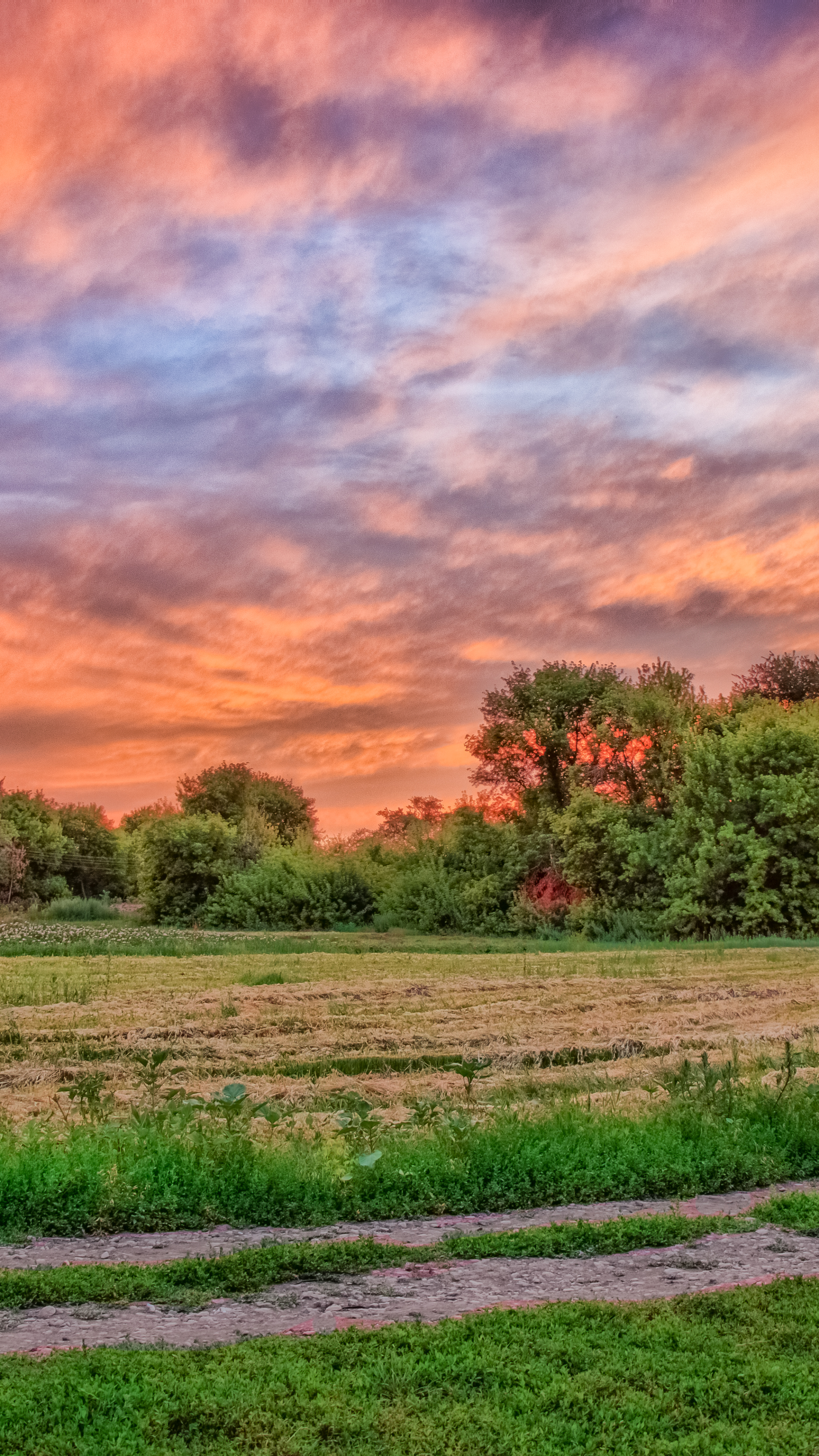 Скачати мобільні шпалери Земля, Hdr, Захід Сонця безкоштовно.