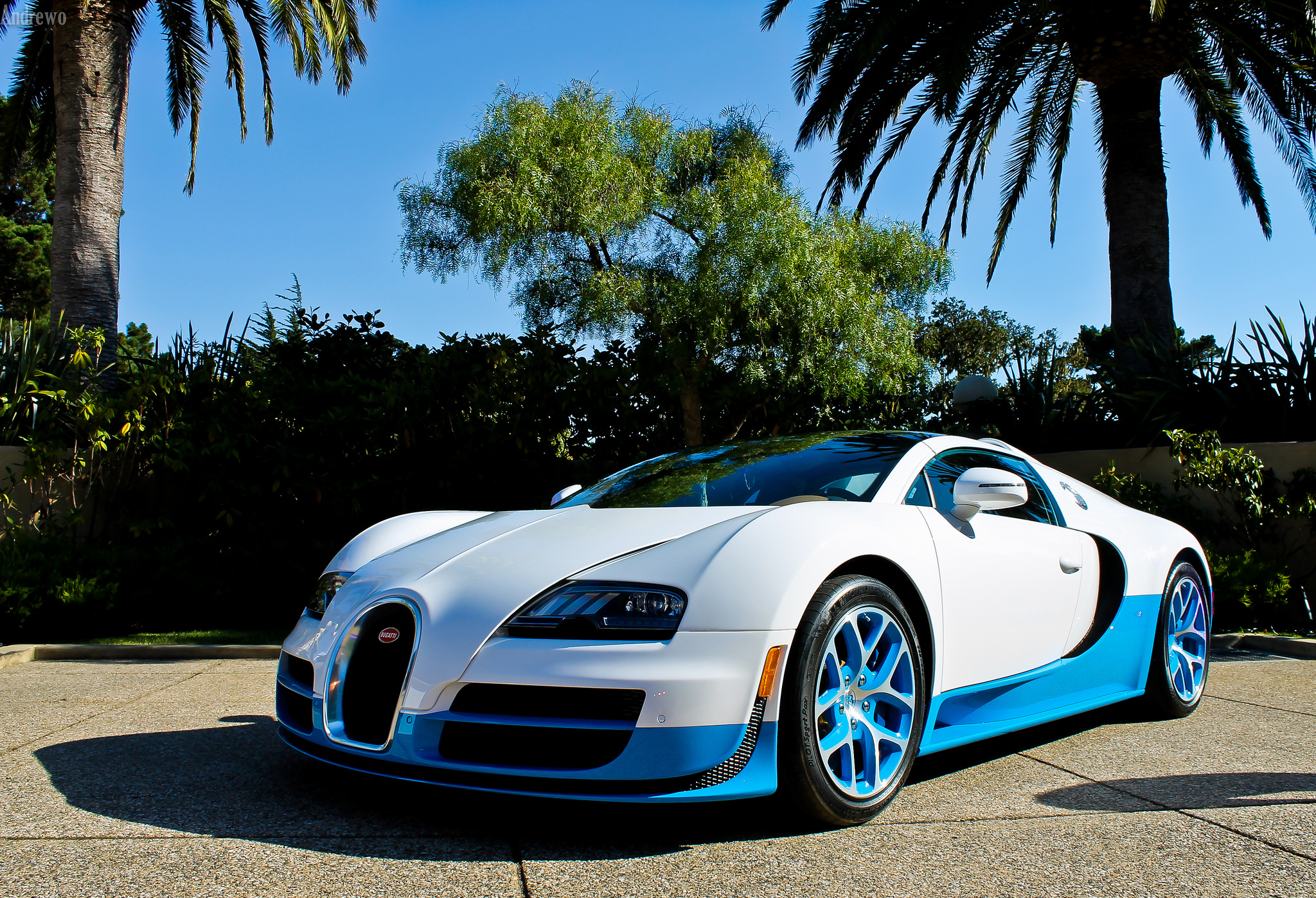 palms, bugatti, cars, blue, veyron, vitesse HD wallpaper