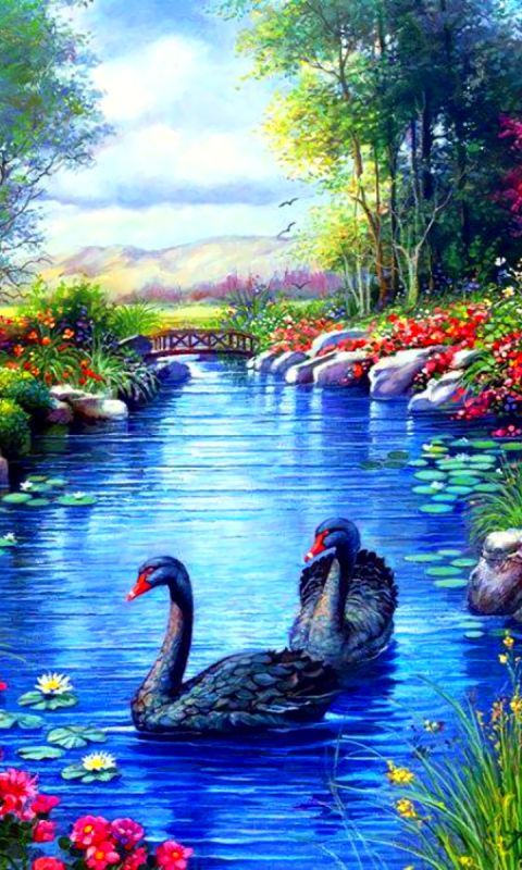 1349862 скачать обои весна, чёрный лебедь, черный лебедь, лебедь, художественные, пруд, цветок, озеро - заставки и картинки бесплатно