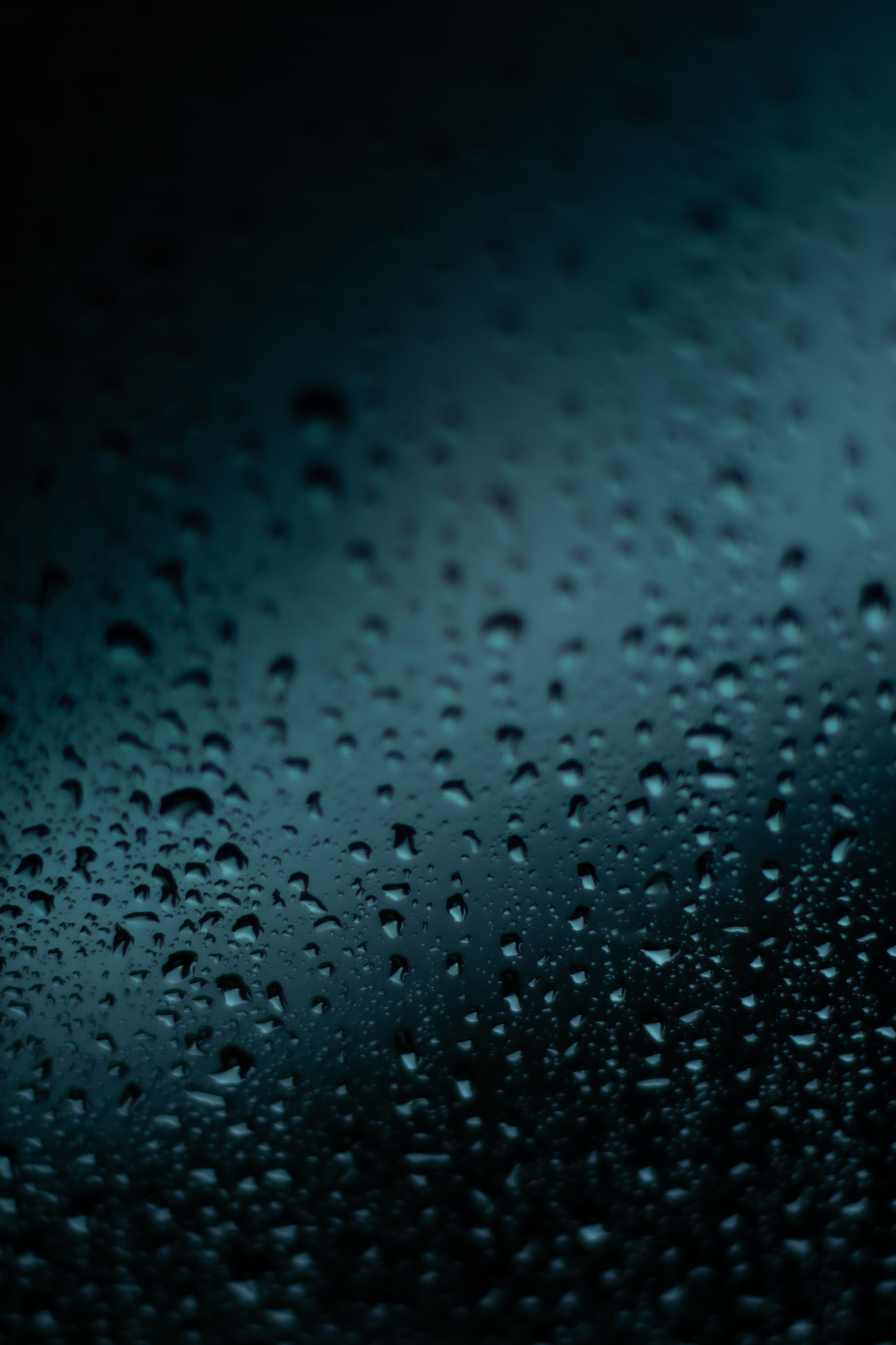 drops, macro, dark, wet, surface for Windows