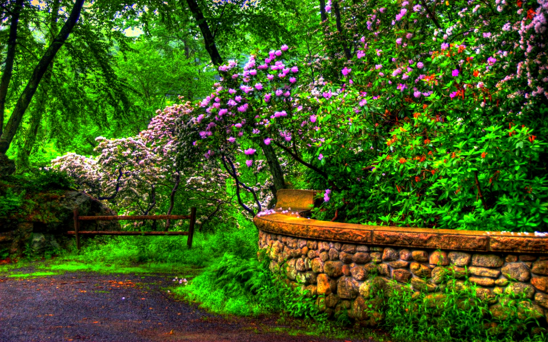 spring, hdr, wall, park, earth, flower, tree