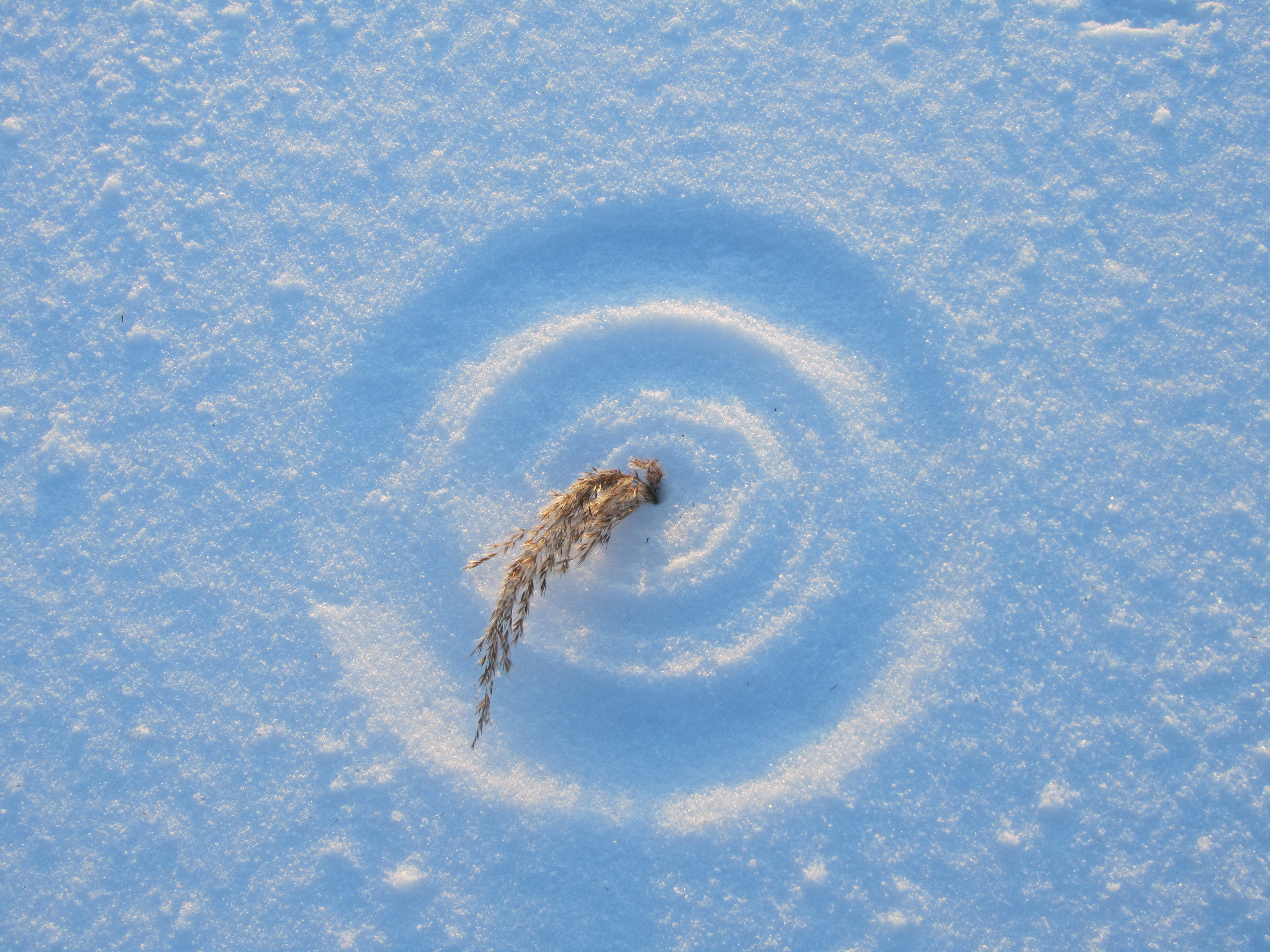 Laden Sie das Winter, Erde/natur-Bild kostenlos auf Ihren PC-Desktop herunter