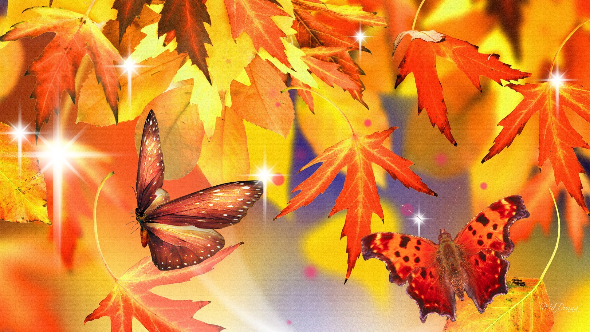 無料モバイル壁紙蝶, 秋, 葉, 芸術的, 蛾をダウンロードします。