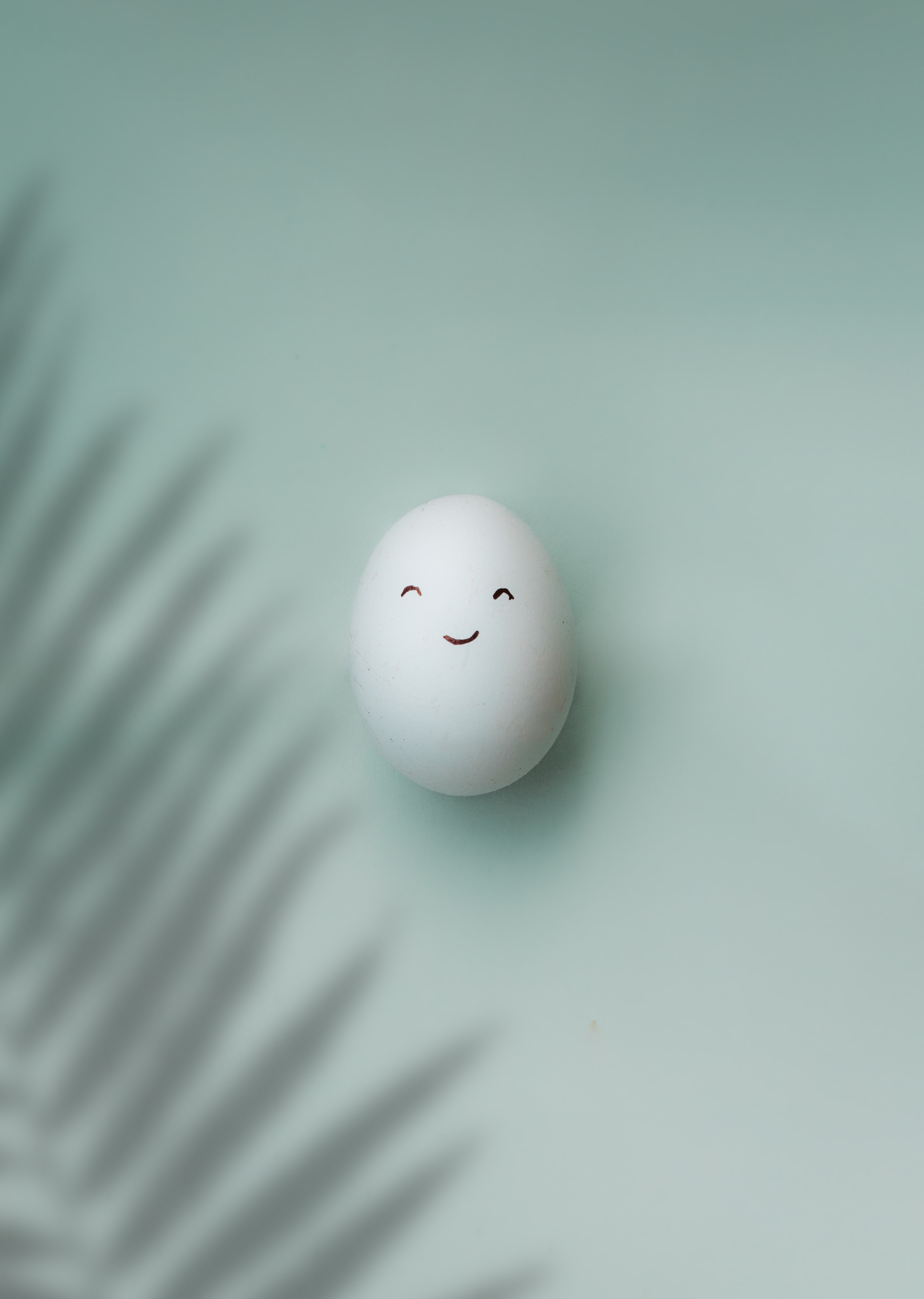 High Definition Egg background