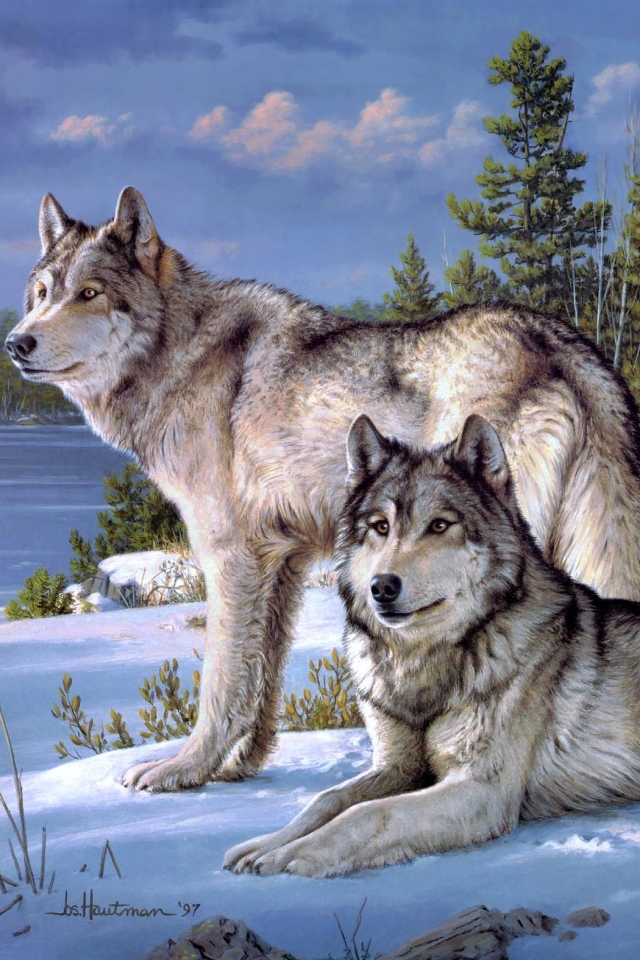 Скачать картинку Животные, Волки, Волк в телефон бесплатно.