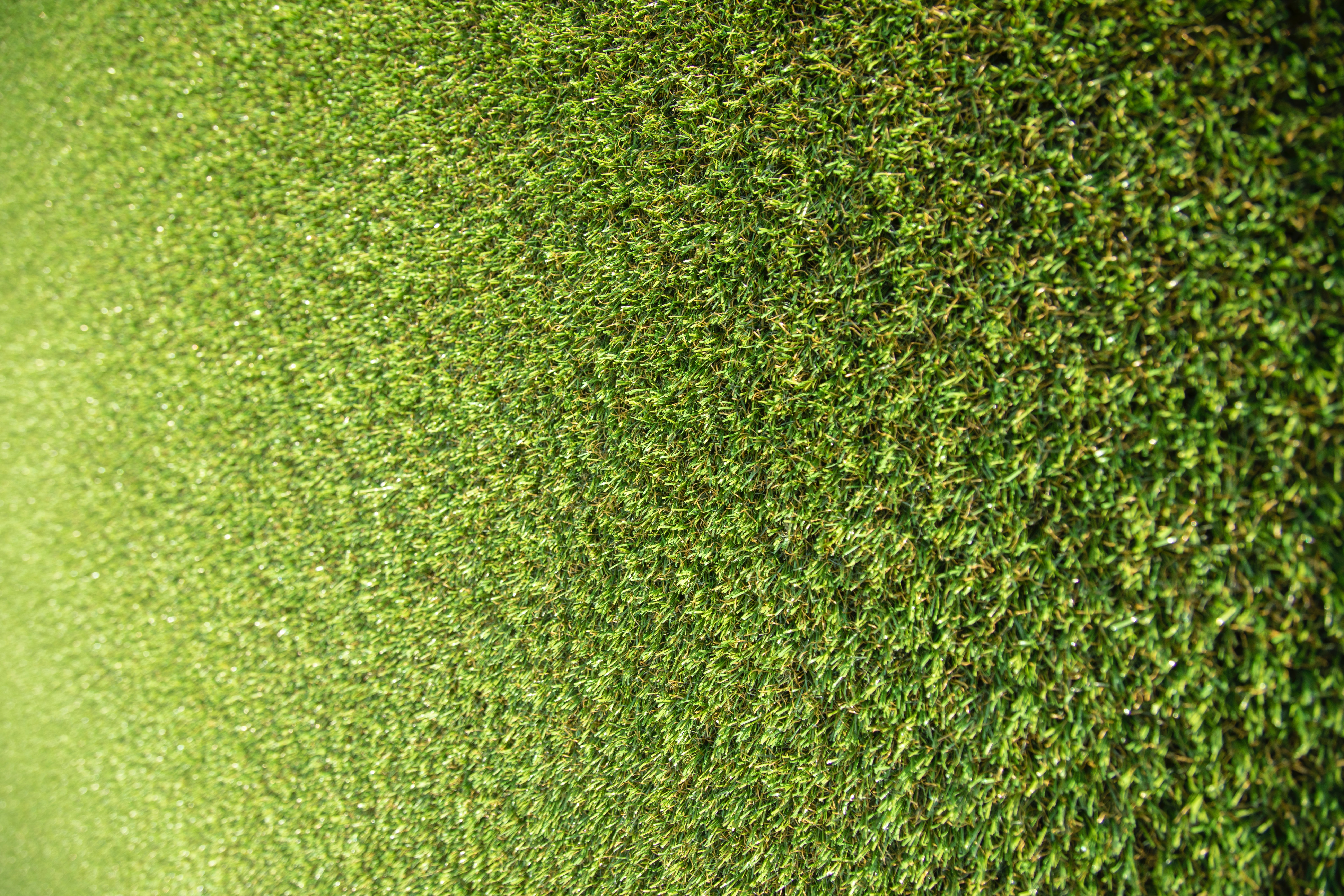 Free download wallpaper Grass, Nature, Stadium on your PC desktop