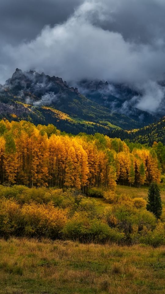 Скачать картинку Пейзаж, Природа, Осень, Облака, Гора, Лес, Сша, Облако, Падать, Колорадо, Земля/природа в телефон бесплатно.