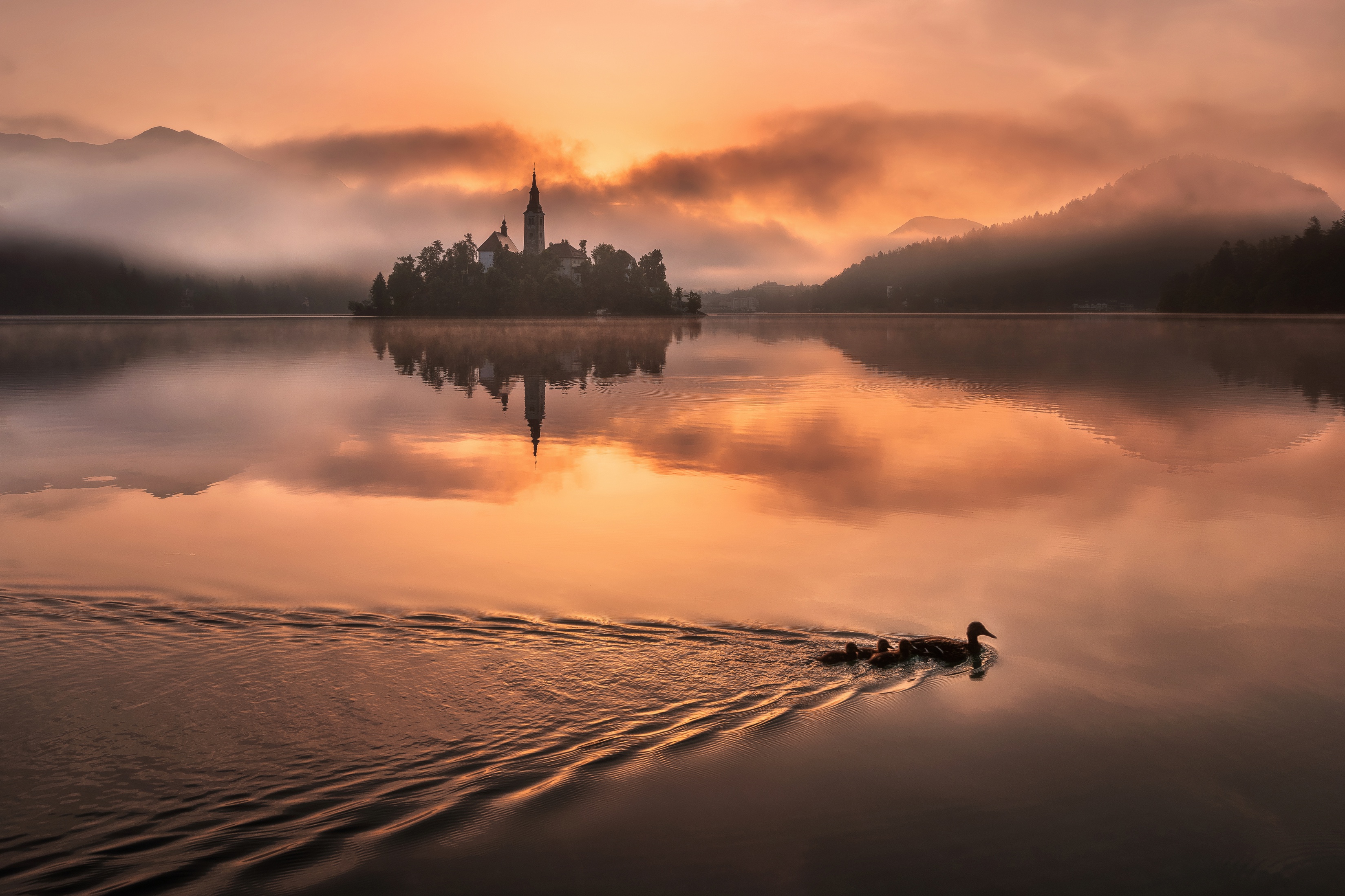 Download mobile wallpaper Lake, Reflection, Slovenia, Churches, Lake Bled, Religious, Assumption Of Mary Church for free.