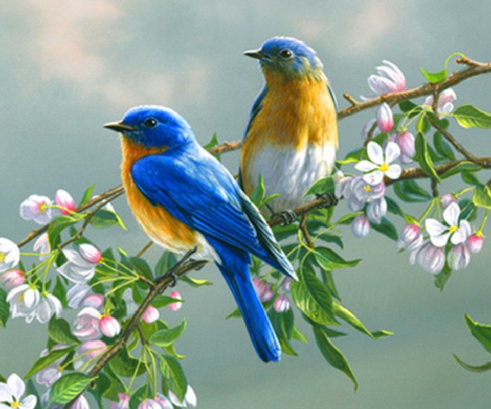animal, bluebird, birds Smartphone Background