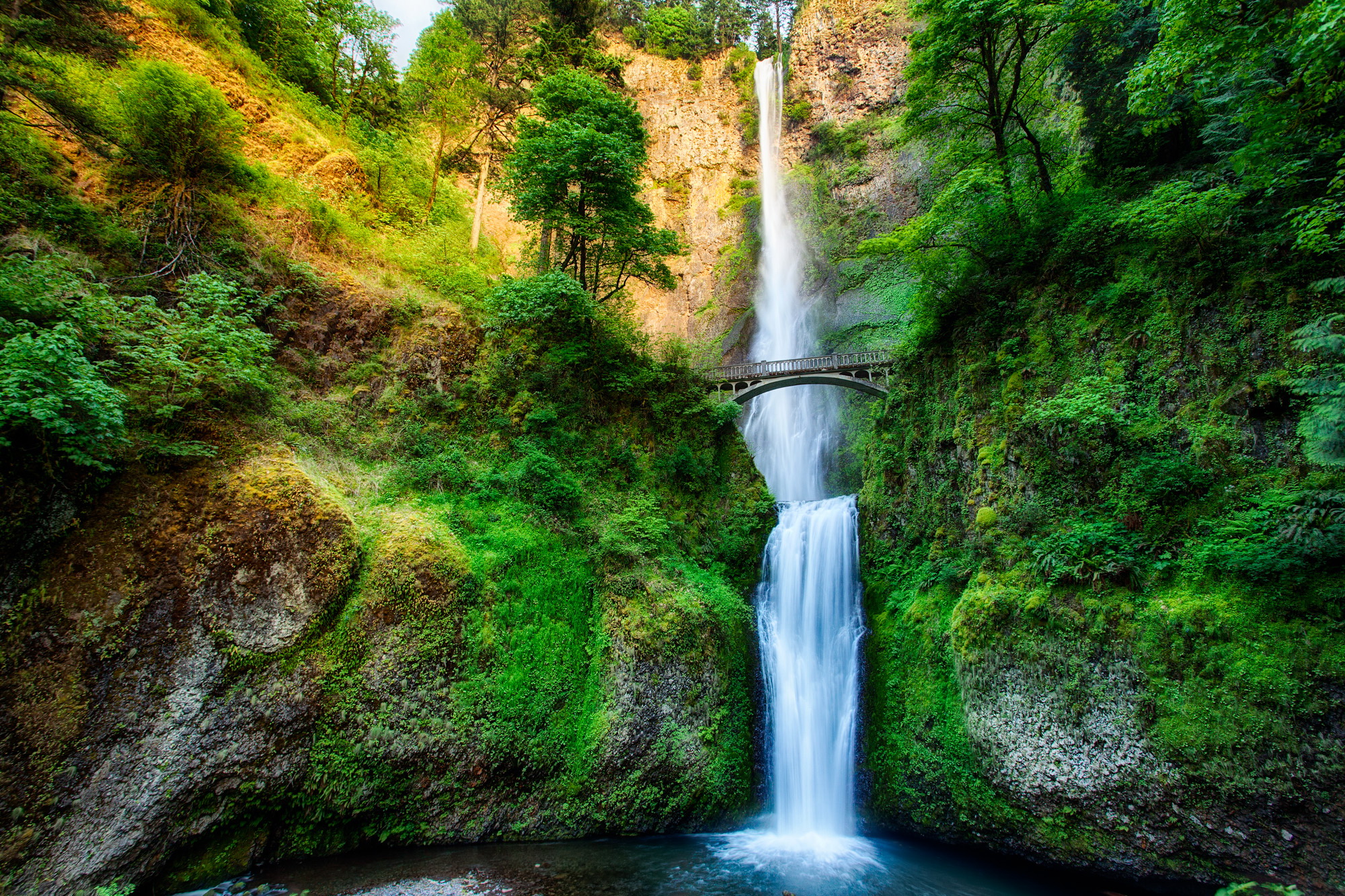 Скачать картинку Водопады, Водопад, Дерево, Мост, Зеленый, Земля/природа в телефон бесплатно.