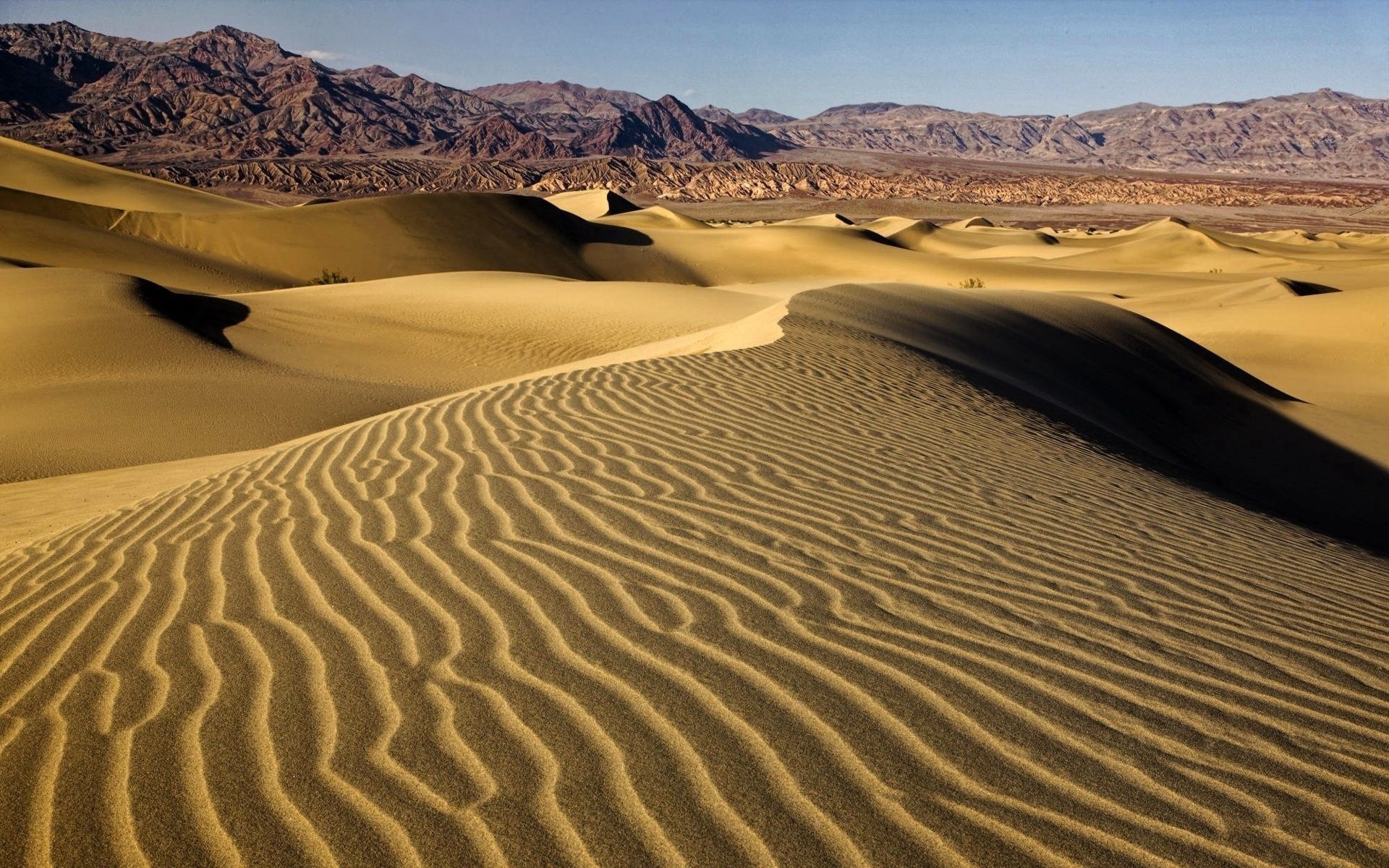 83242 Hintergrundbild herunterladen wüste, natur, sand, muster, dünen, links - Bildschirmschoner und Bilder kostenlos