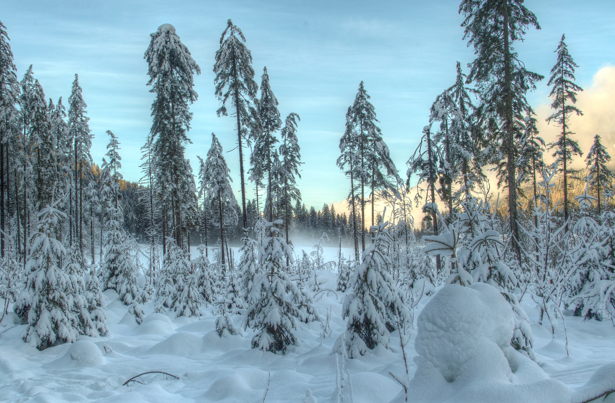 Téléchargez gratuitement l'image Hiver, Terre/nature sur le bureau de votre PC