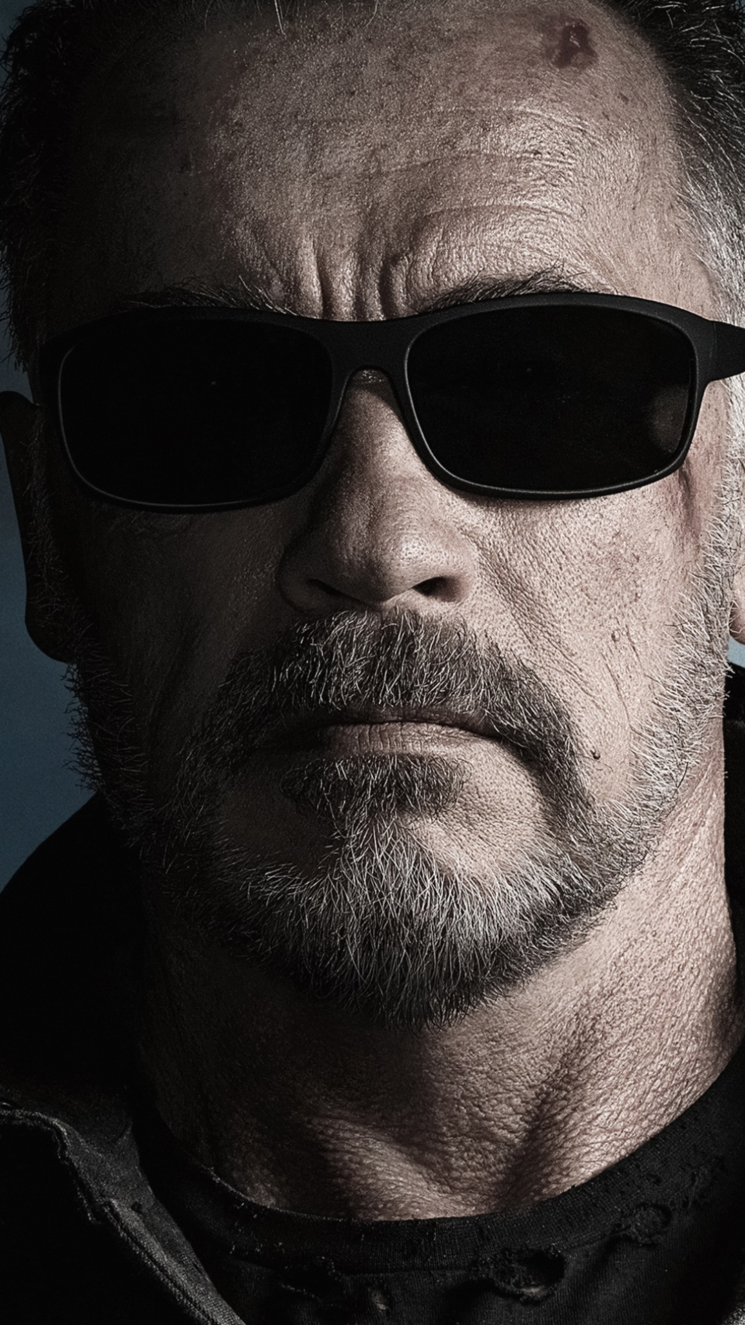 Download mobile wallpaper Arnold Schwarzenegger, Terminator, Movie, Terminator: Dark Fate for free.