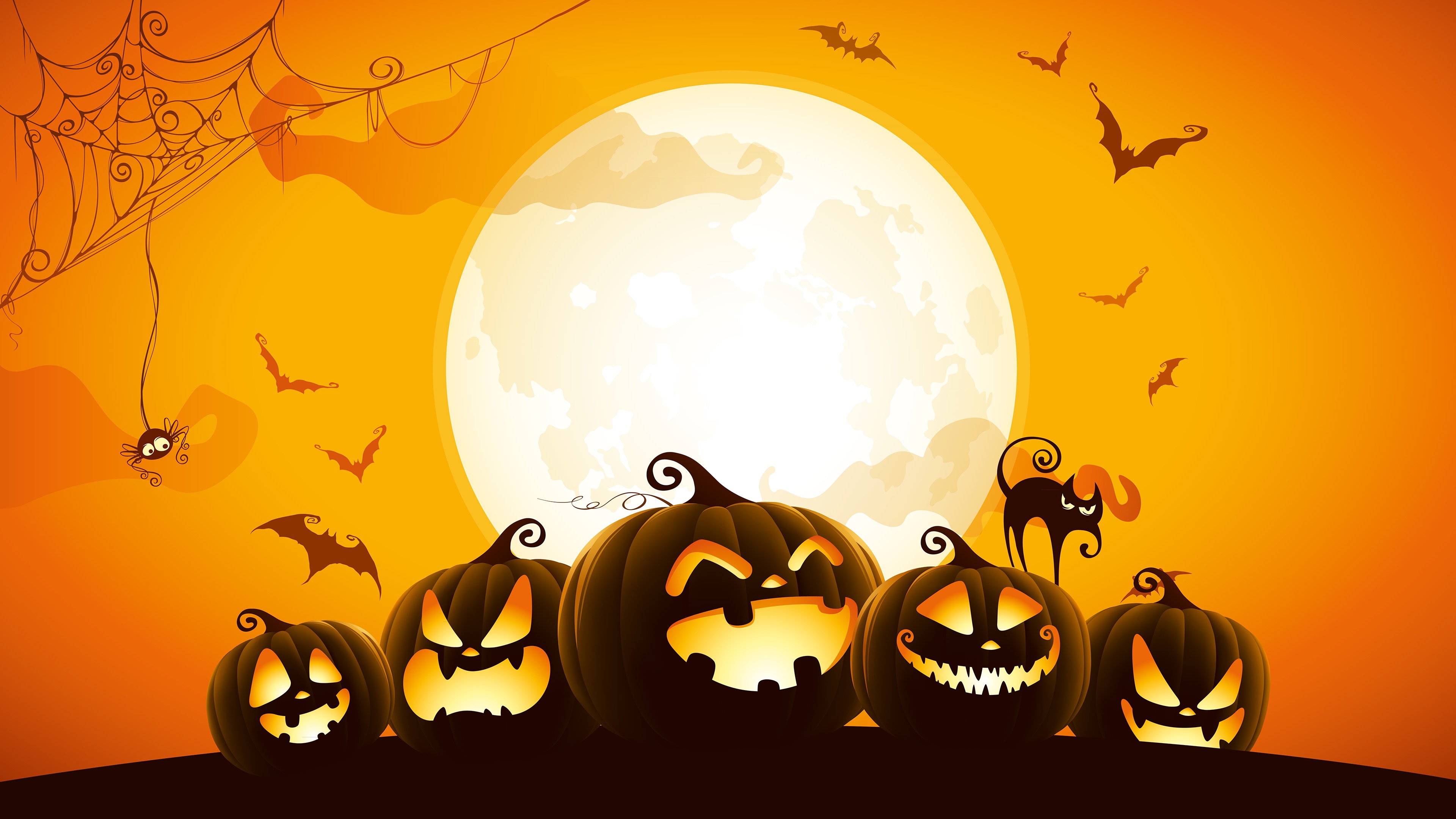 Laden Sie das Feiertage, Halloween, Mond, Katze, Spinne, Schläger, Jack O' Laterne-Bild kostenlos auf Ihren PC-Desktop herunter